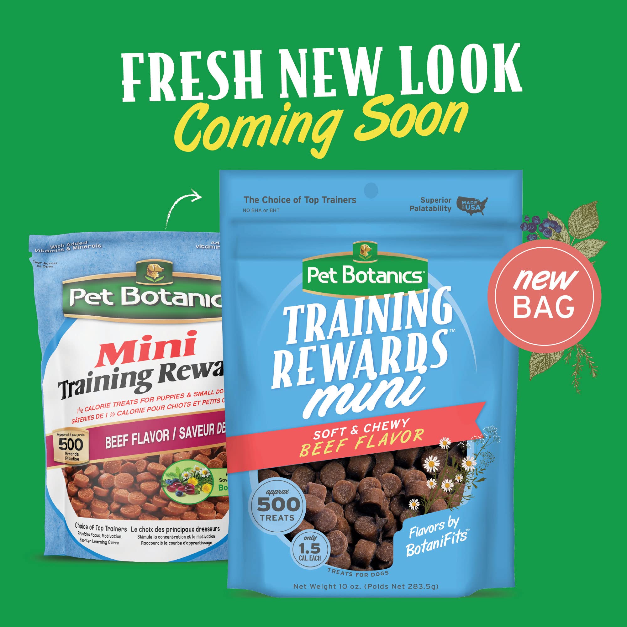 Pet Botanics Training Rewards Grain-Free Beef Soft and Chewy Dog Treats - Mini - 10 Oz  