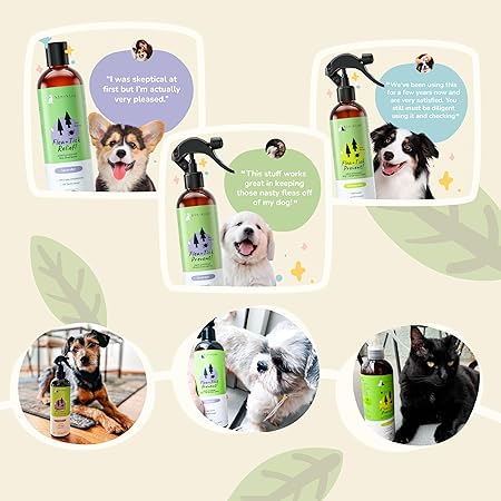 KIN + KIND Lemongrass Scented Flea and Tick Relief Cat and Dog Shampoo - 12 Oz