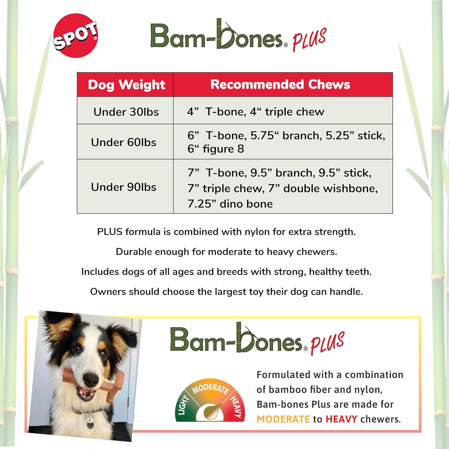 Ethical SPOT Bam-Bones Dino Bone Peanut Butter Flavored Bamboo and Nylon Chew Dog Toy - 7.25 Inch