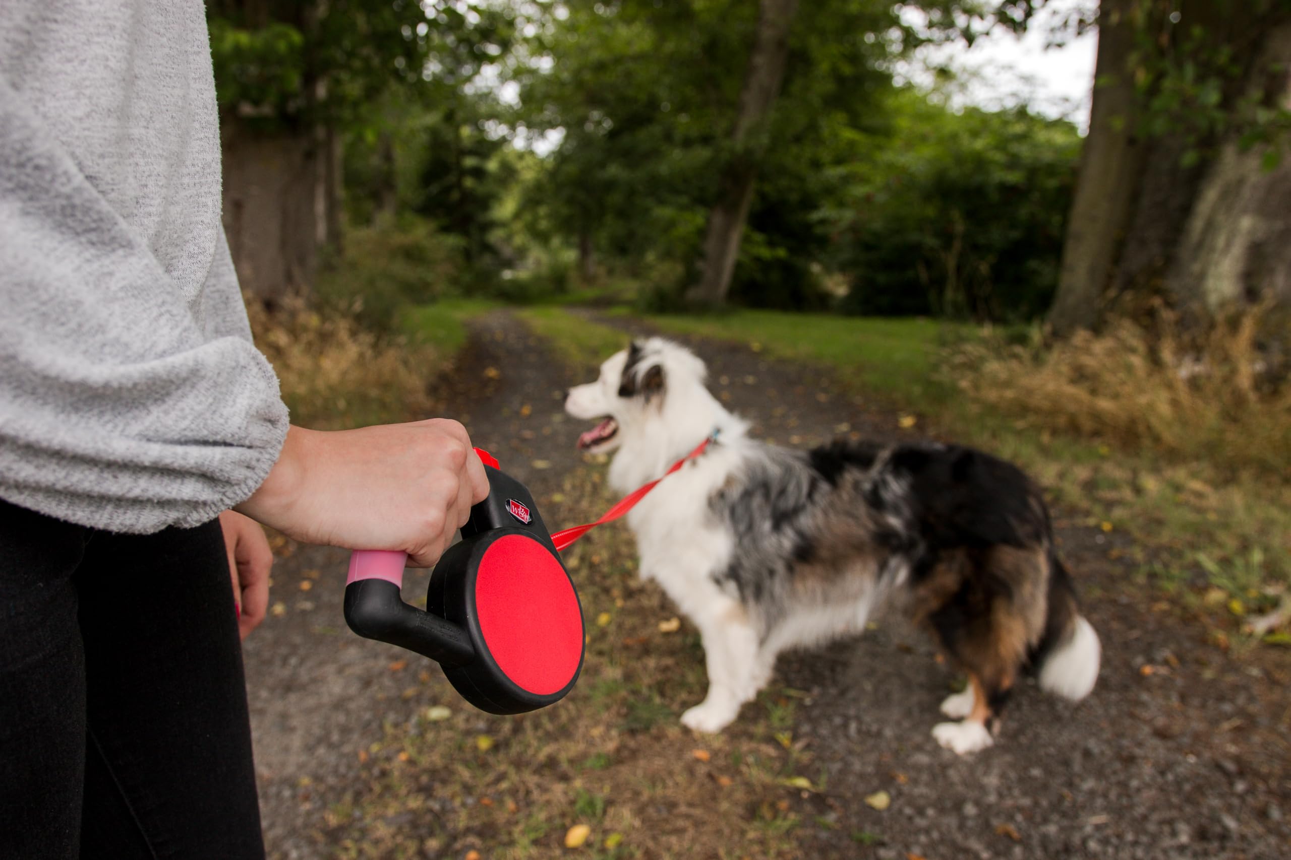 Wigzi Gel Handle Gripped Tape Retractable Nylon Dog Leash - Red - Small - Up to 16 Feet  