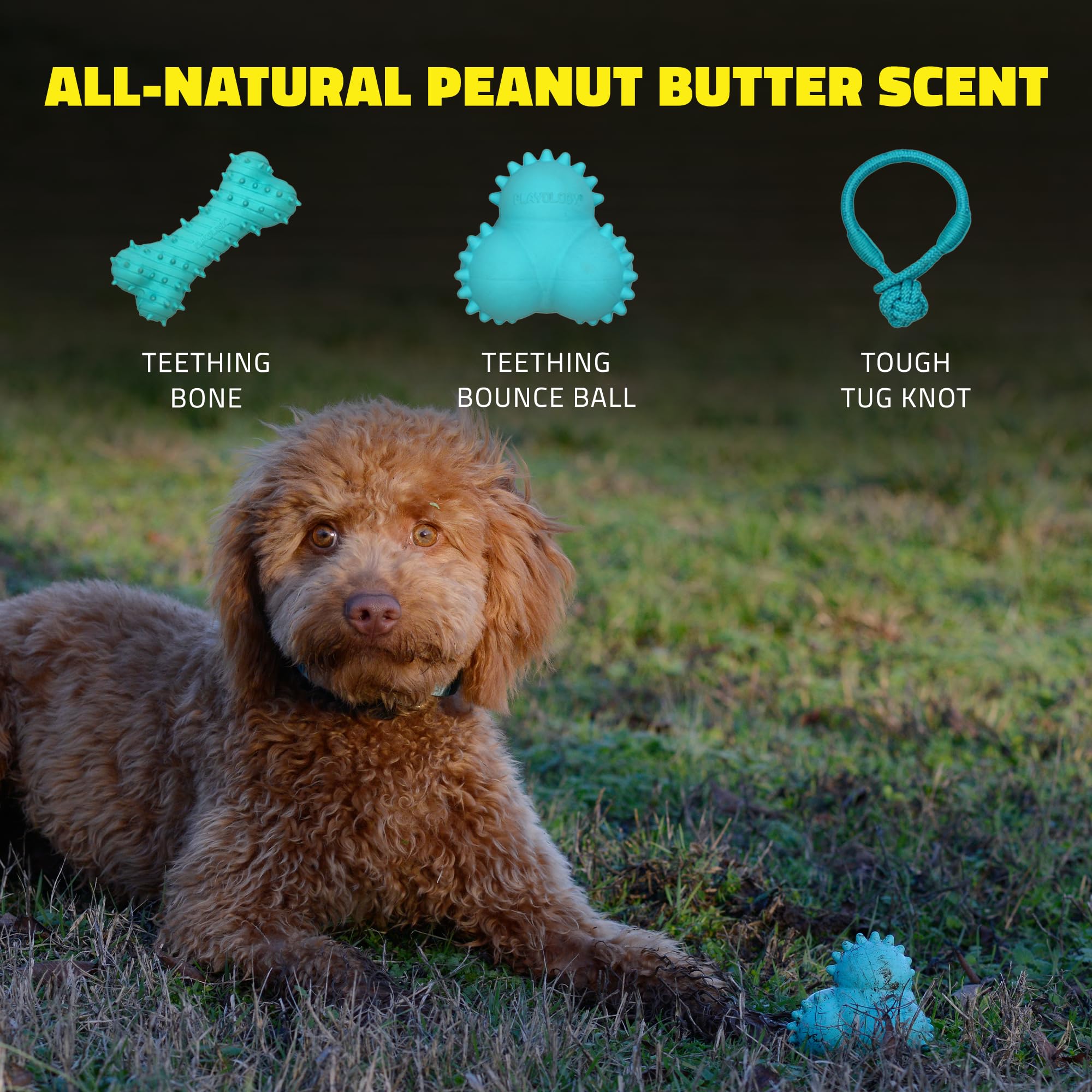 Playology Peanut Butter Scented Teething Bounce Ball Rubber Puppy Dog Toy with Encapsiscent Tech - Large  