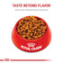 Royal Canin Breed Health Nutrition Jack Russell Terrier Formula Adult Dry Dog Food - 10 Lbs  