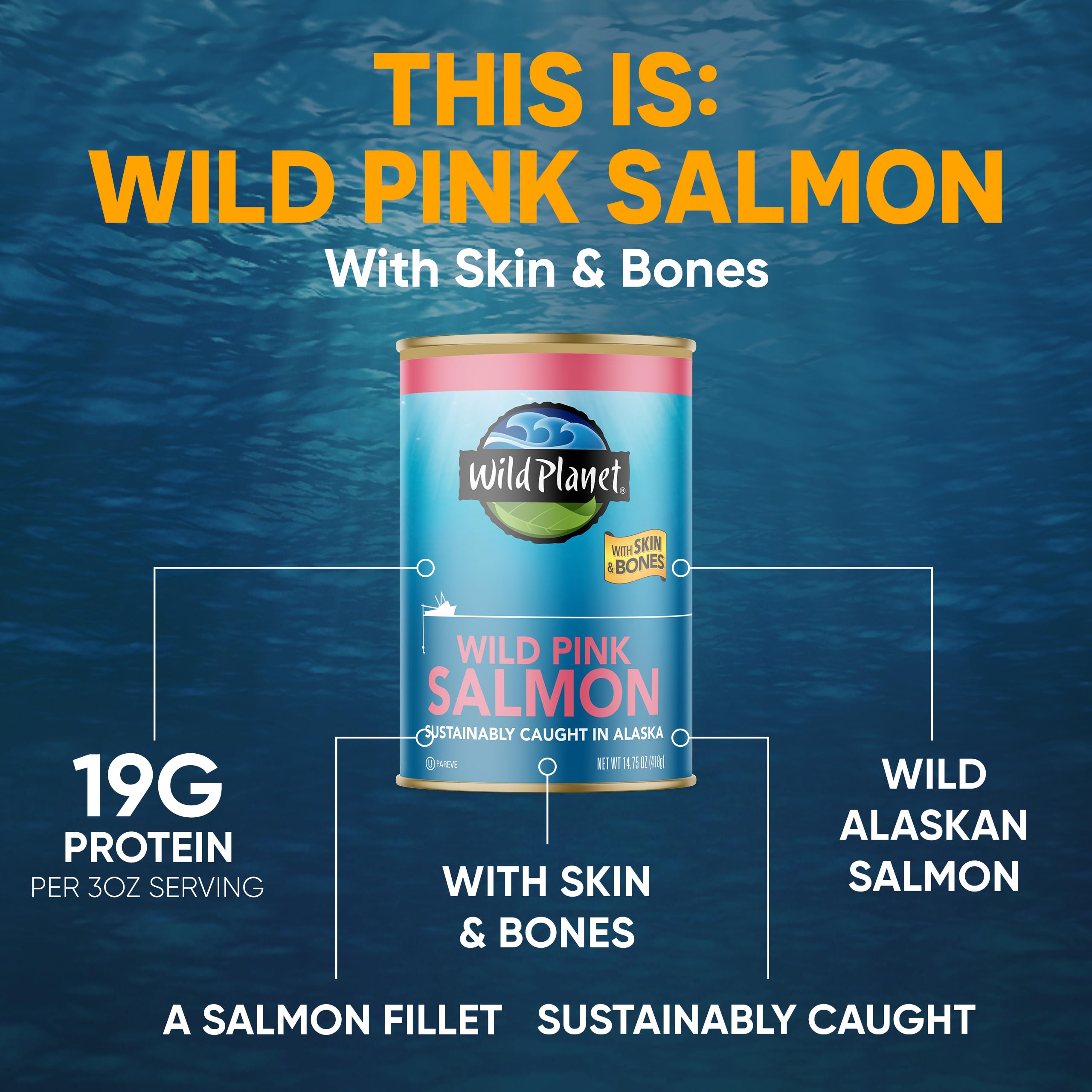 Identity 95% Wild-Caught Atlantic Salmon and Herring Canned Dog Food - 13 Oz - Case of 12  