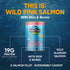 Identity 95% Wild-Caught Atlantic Salmon and Herring Canned Dog Food - 13 Oz - Case of 12  