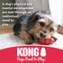 Kong Goodie Bone with Rope Durable Rubber Puppy Dog Toy - Extra Small  