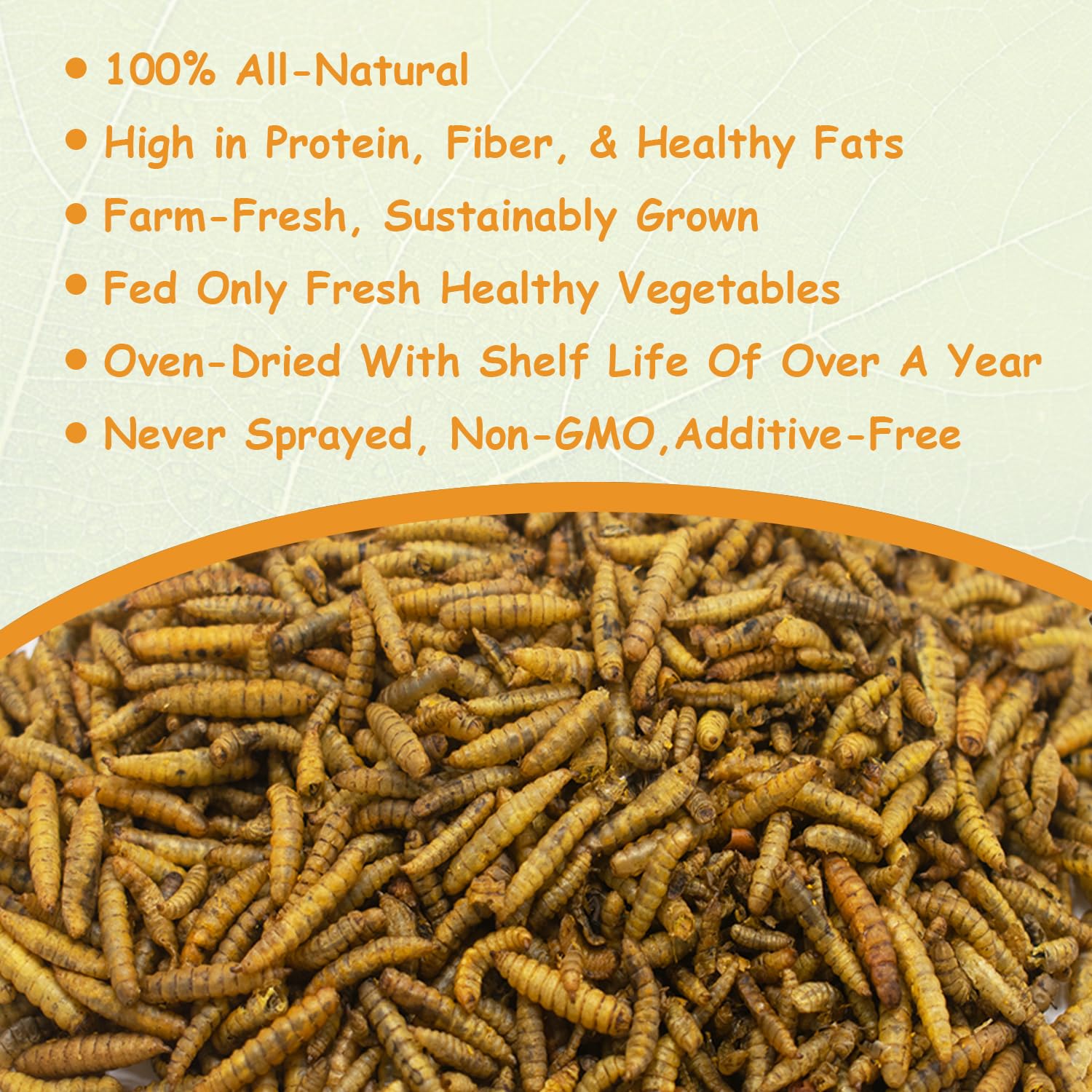 Zoo Med Laboratories Can O' Grubs Black Soldier Fly Larva Reptile Bird and Fish Food - Medium - 1.2 Oz  