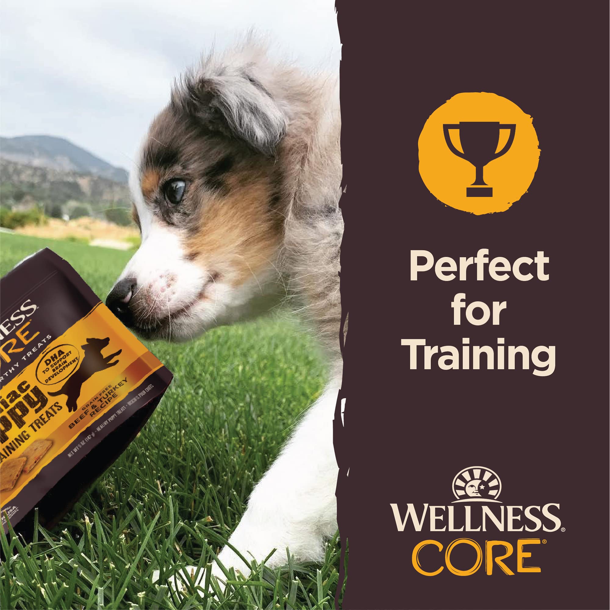 Wellness Core Brainiac Puppy Grain-Free Beef and Turkey Soft and Chewy Training Dog Treats - 5 Oz  