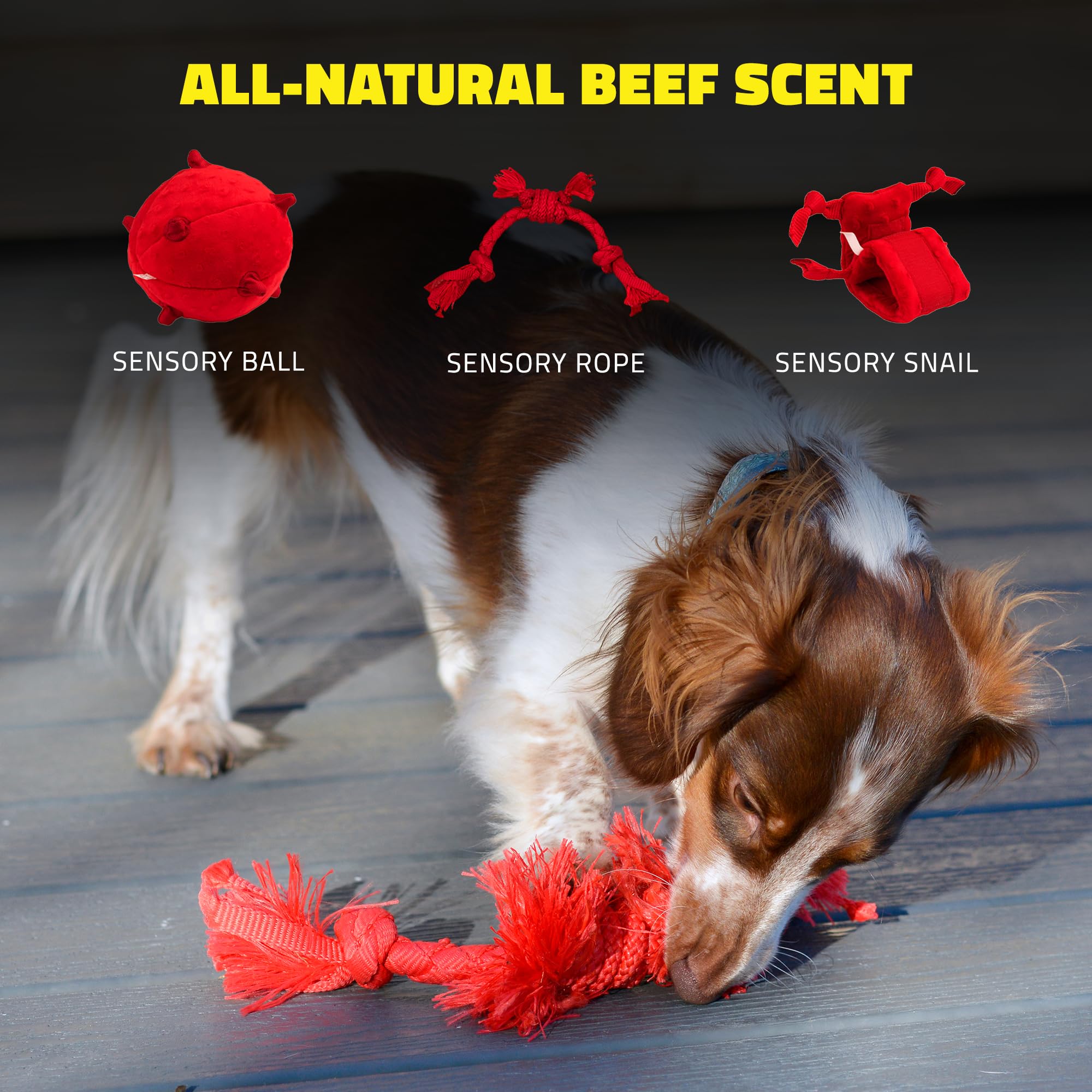 Playology Beef Scented Sensory Rope Puppy Dog Toy with Encapsiscent Technology - Small  