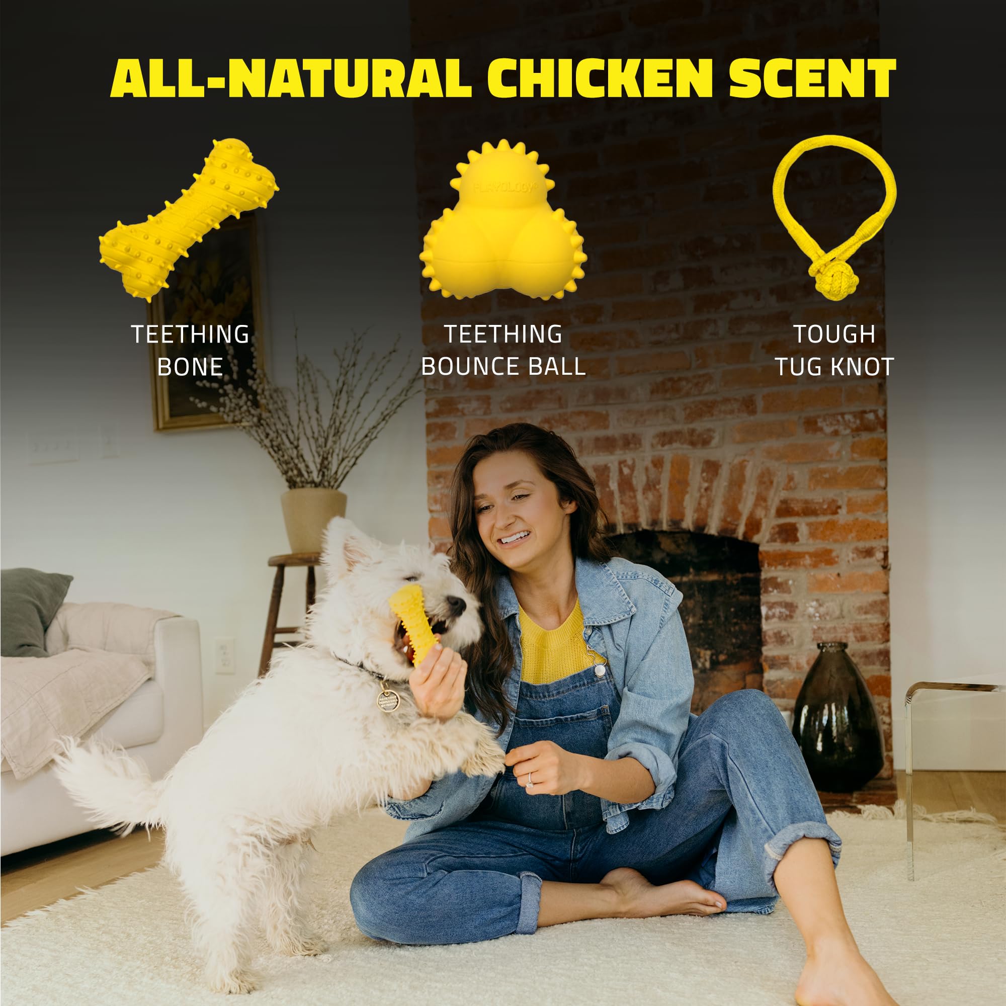 Playology Chicken Scented Teething Bone Rubber Puppy Dog Toy with Encapsiscent Technology - Large  