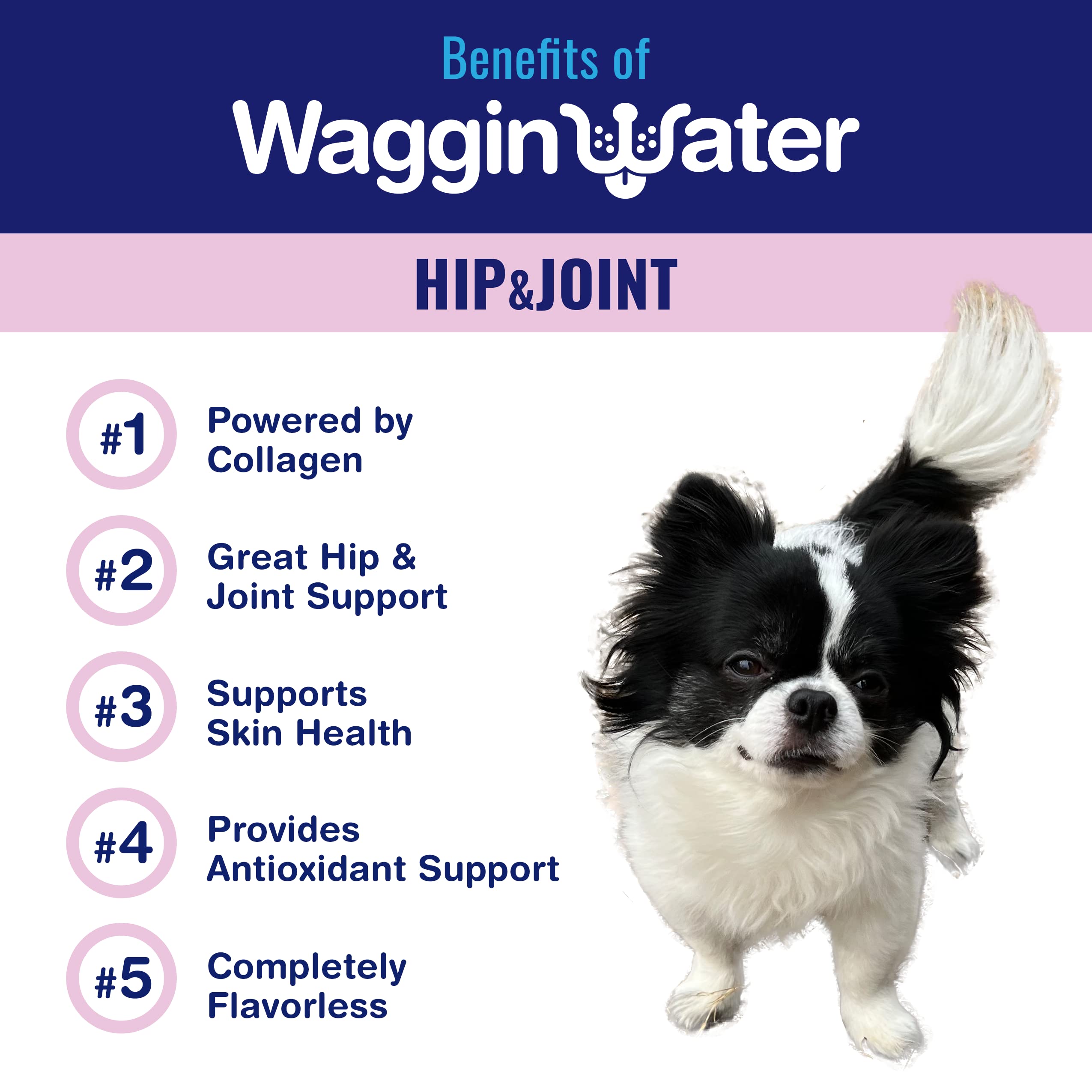 Waggin Water CBD Infused Reverse Osmosis Water Supplement for Dogs - 1 Lb - Case of 12  