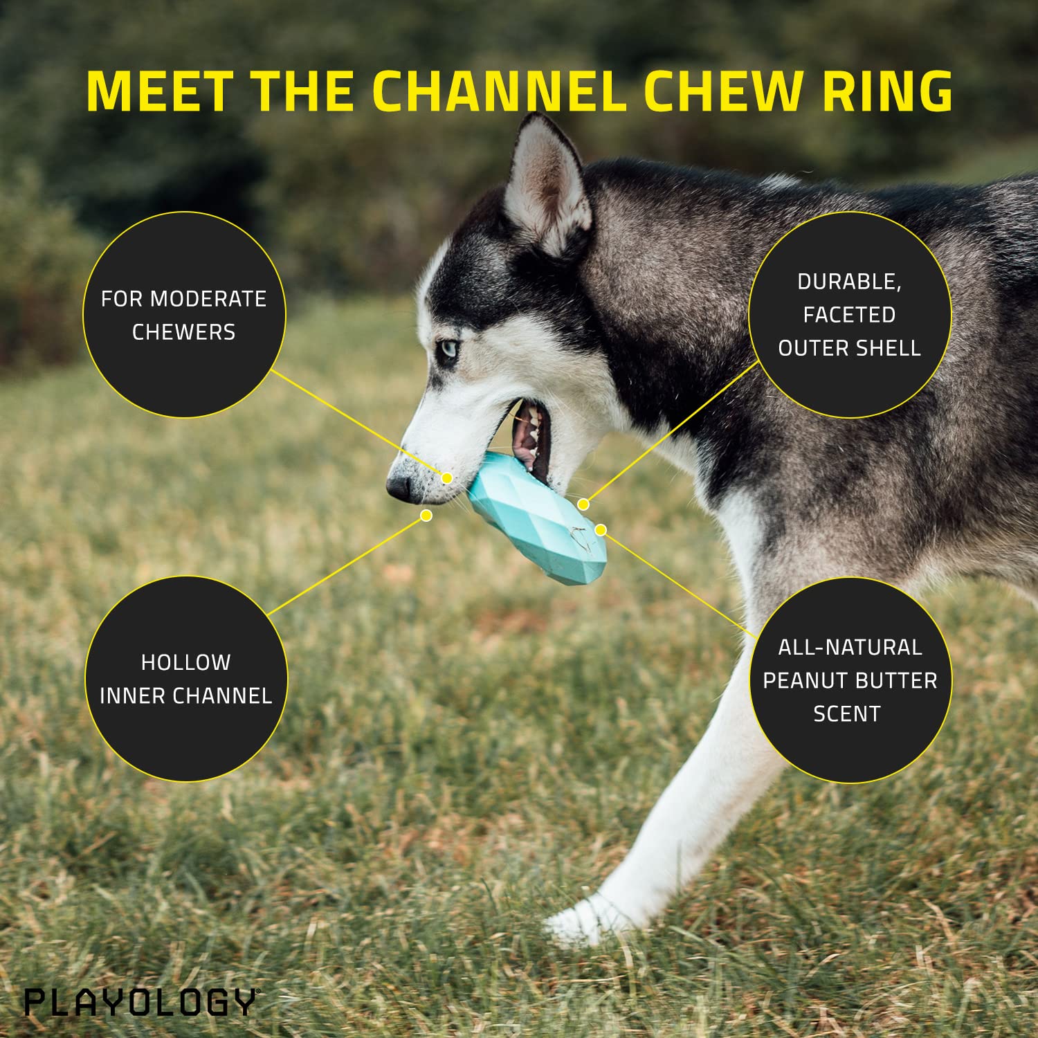 Playology Peanut Butter Scented Channel Chew Ring Rubber Dog Toy with Encapsiscent Technology - Large  