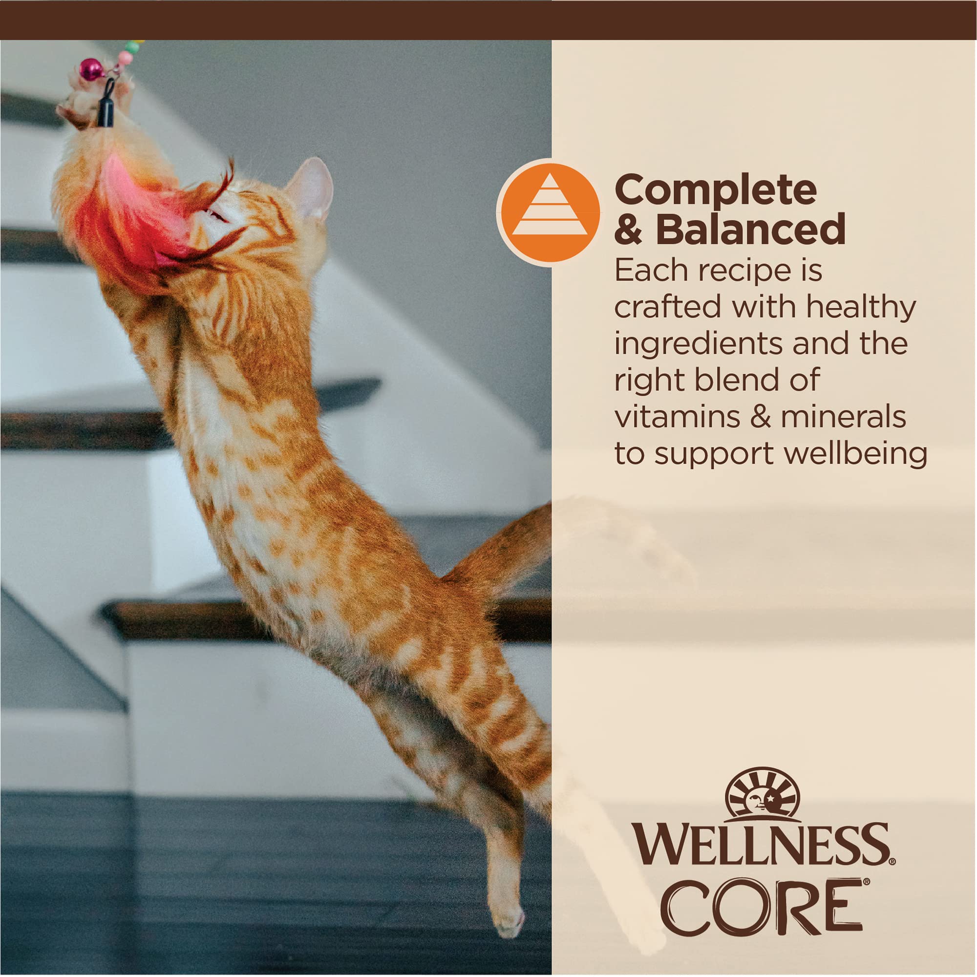 Wellness Core Tiny Tasters Grain-Free Minced Chicken in Gravy Adult Wet Cat Food Pouch - 1.75 Oz - Case of 12  