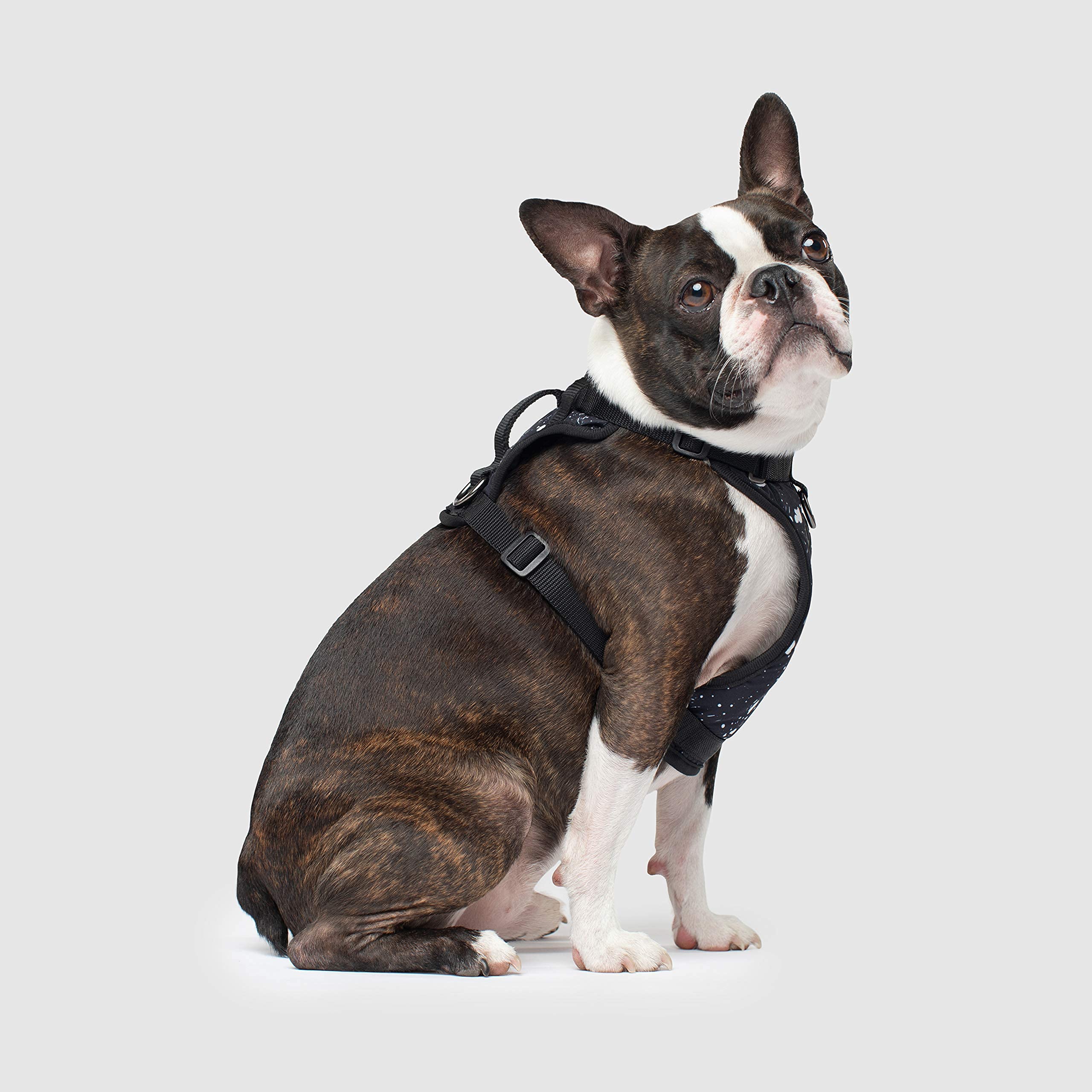 Canada Pooch Water-Resistent Everything Dog Harness