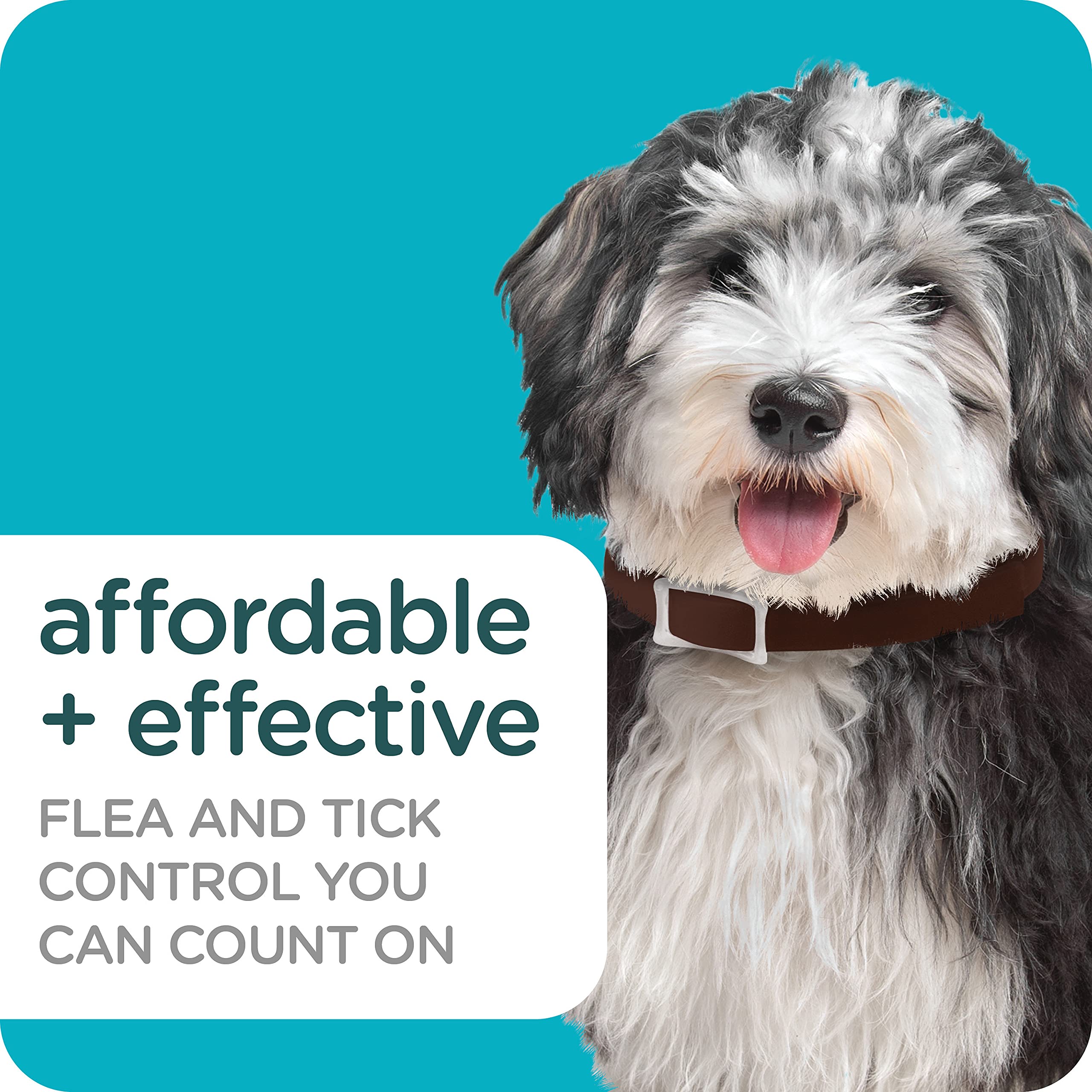 Sergeant's Dual-Action Flea and Tick Collar II for Large Dogs - Up to 23" Inch Neck Girths  