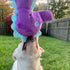 Snugarooz Shelly The Seahorse Squeak and Crinkle Plush Dog Toy - 17" Inches  