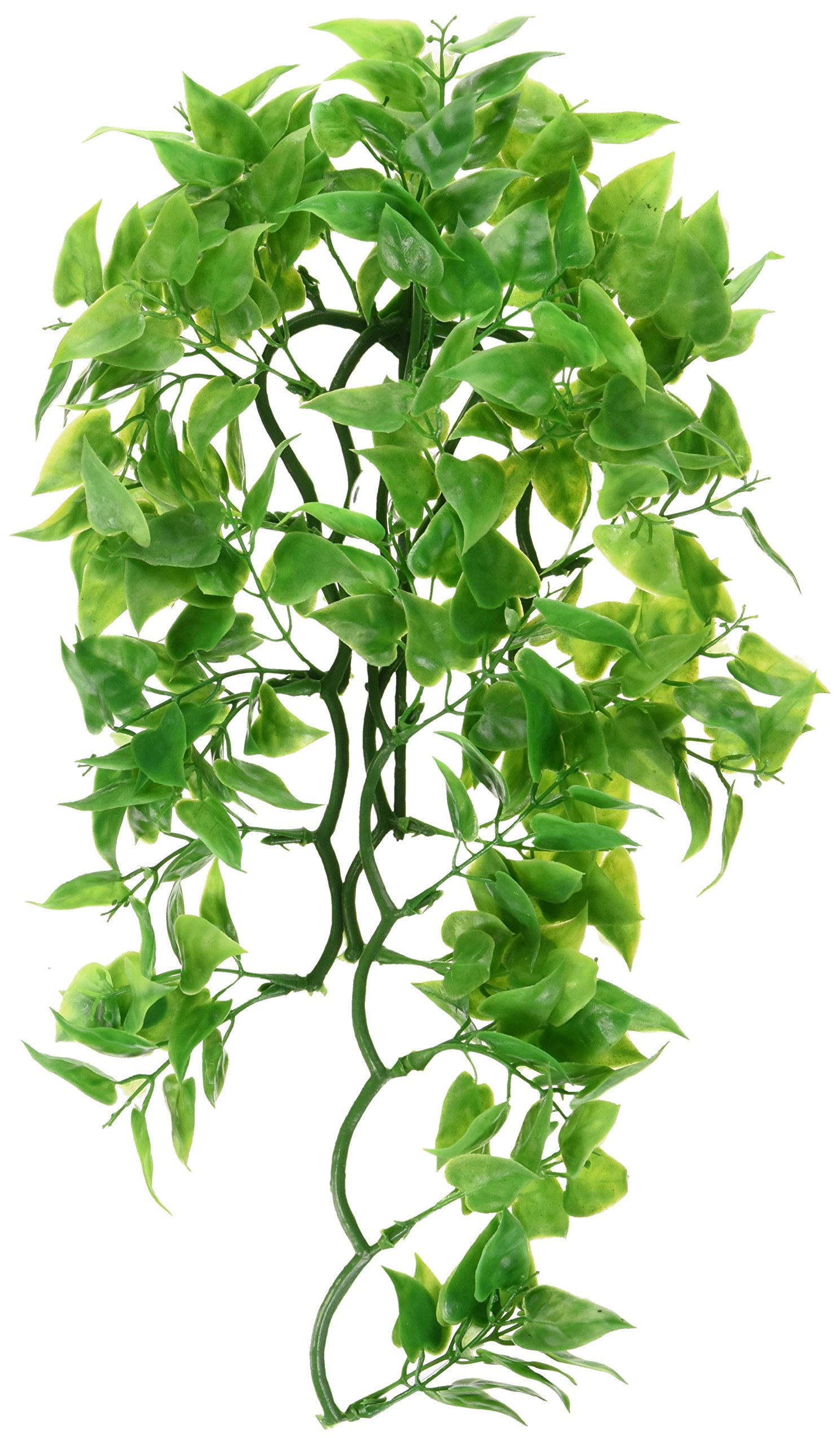 Zoo Med Laboratories Natural Bush Mexican Phyllo Plastic Plant Aquarium and Terrarium Décor - Medium  