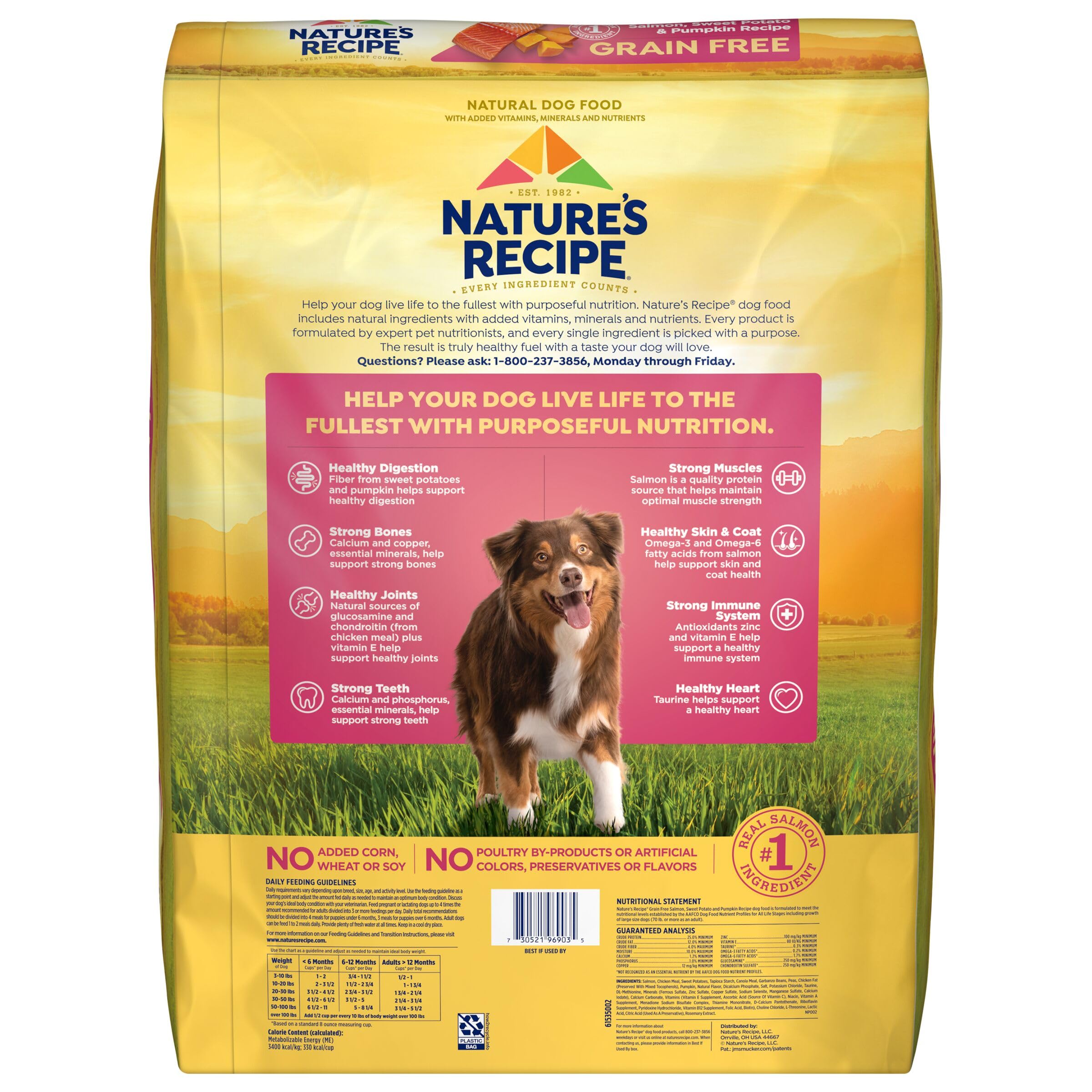 Nature's Recipe Grain-Free Salmon Sweet Potato and Pumpkin Recipe Dry Dog Food - 4 Lbs - Case of 4  