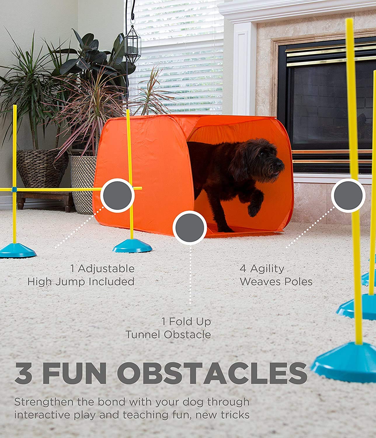 Outward Hound Zip and Zoom Multiple Indoor Agility Traiing Kit with Carrying Case - 9 Piece Set  