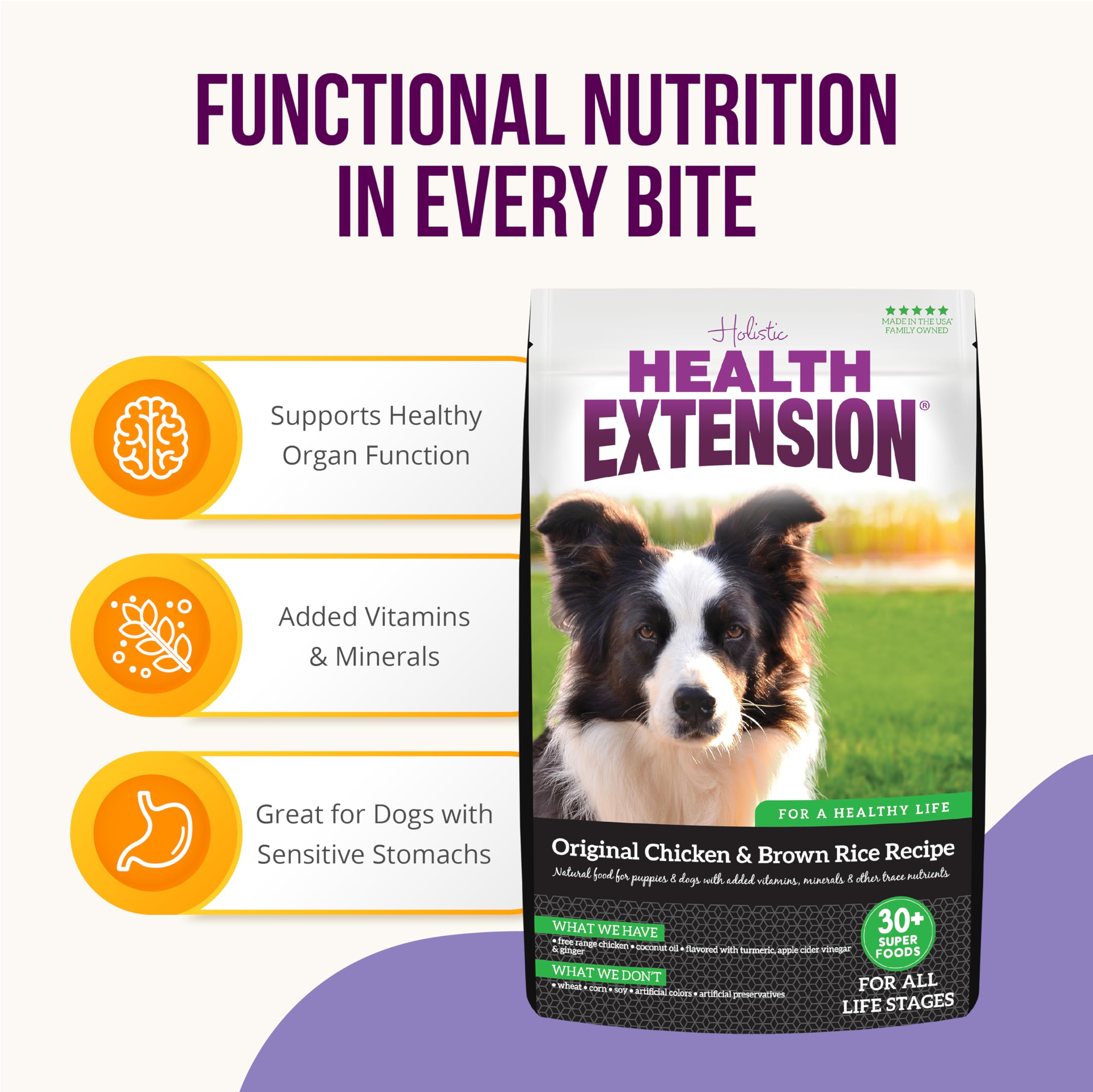 Health Extension Original Chicken and Brown Rice Dry Dog Food - 1 Lb  