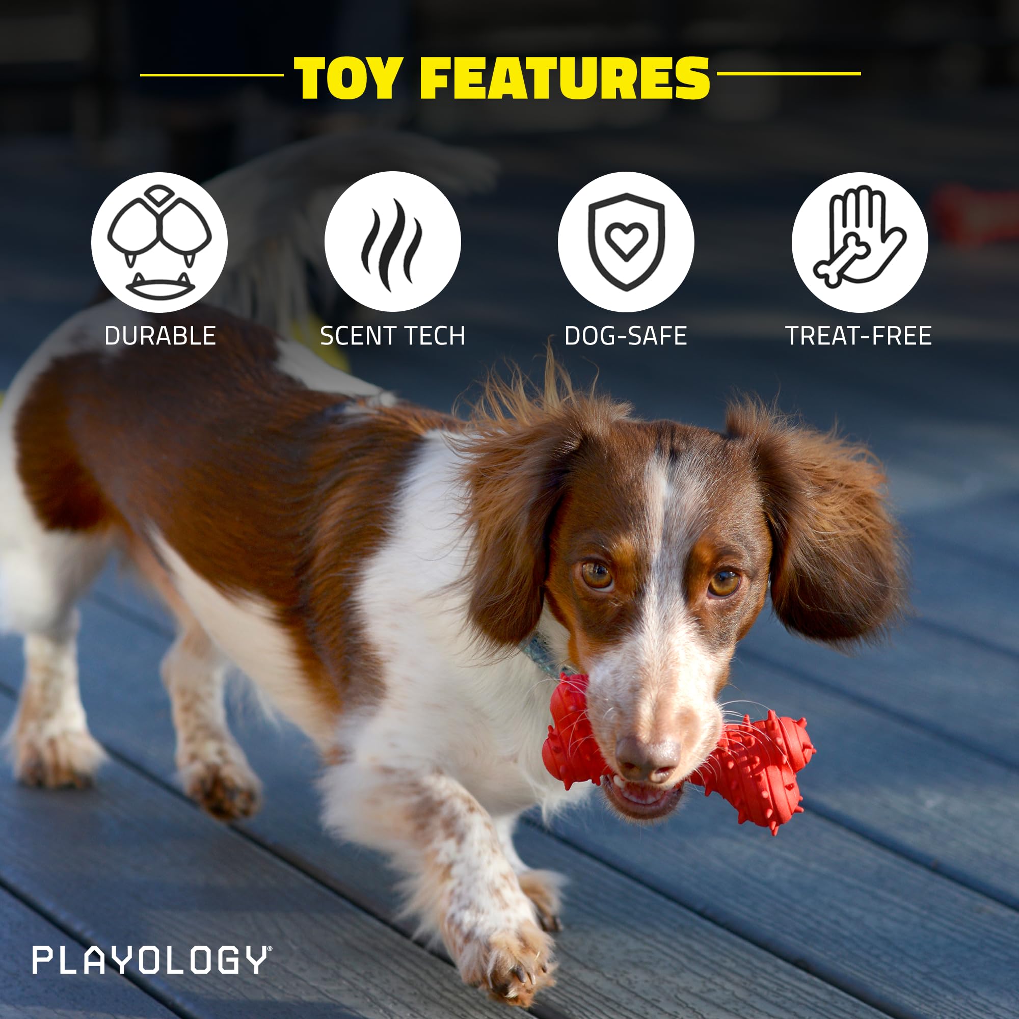 Playology Beef Scented Teething Bone Rubber Puppy Dog Toy with Encapsiscent Technology - Small  