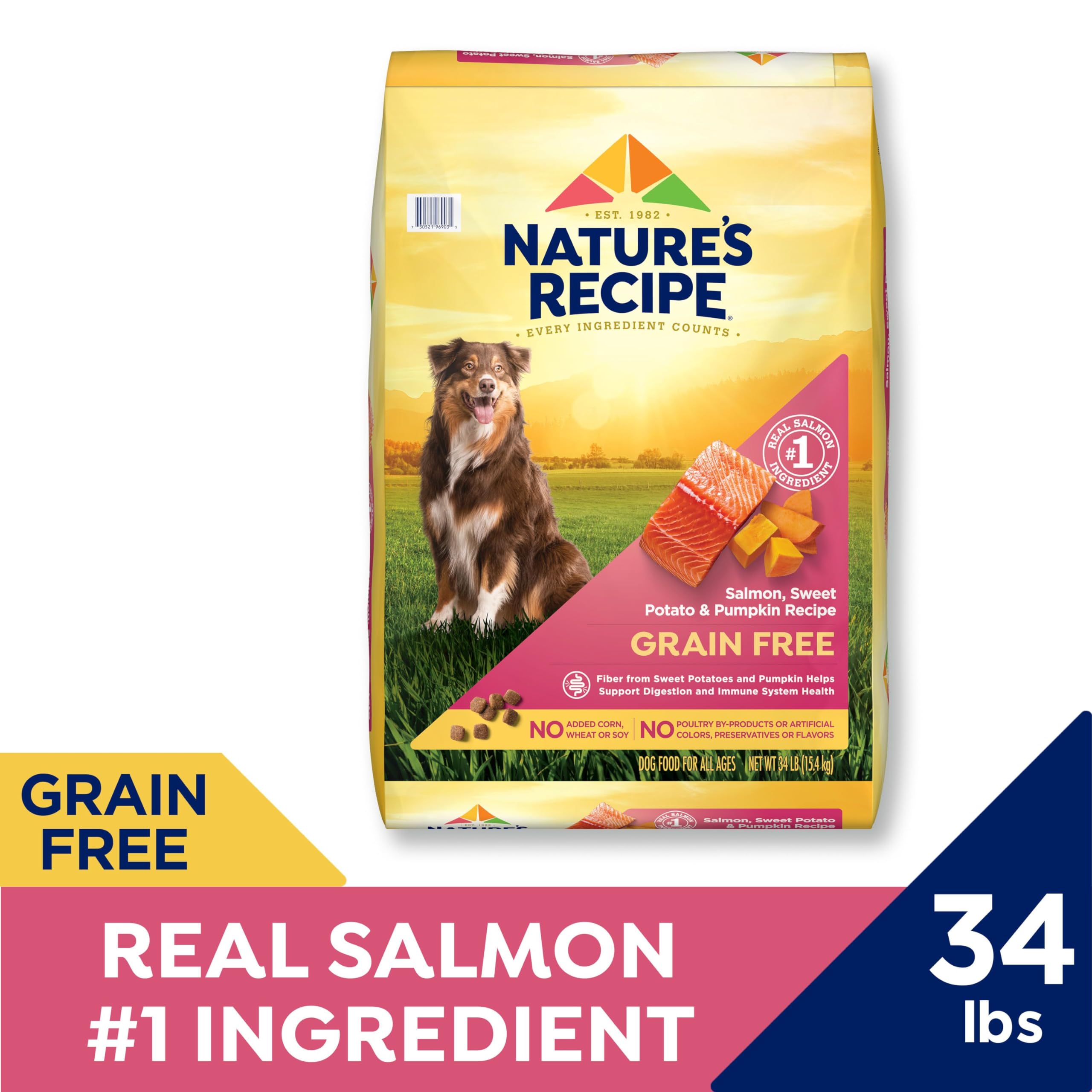 Nature's Recipe Grain-Free Salmon Sweet Potato and Pumpkin Recipe Dry Dog Food - 4 Lbs - Case of 4  