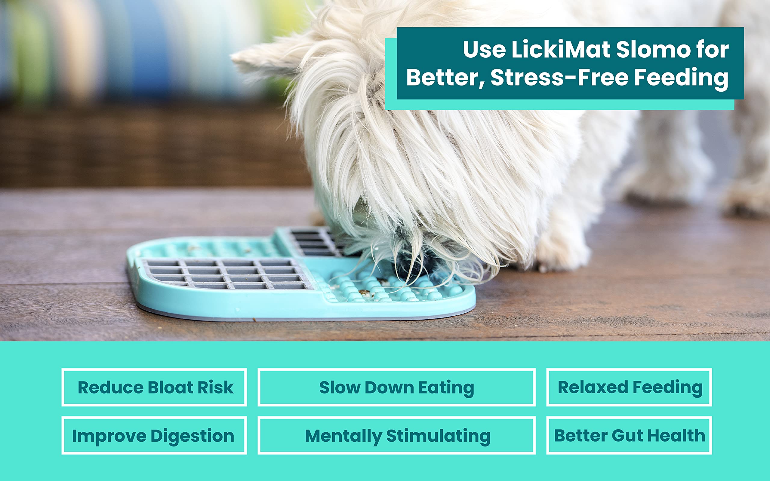 Innovative Pet Lickimat Slowmo Combo Slow Feeding Mat for Dogs - Green  