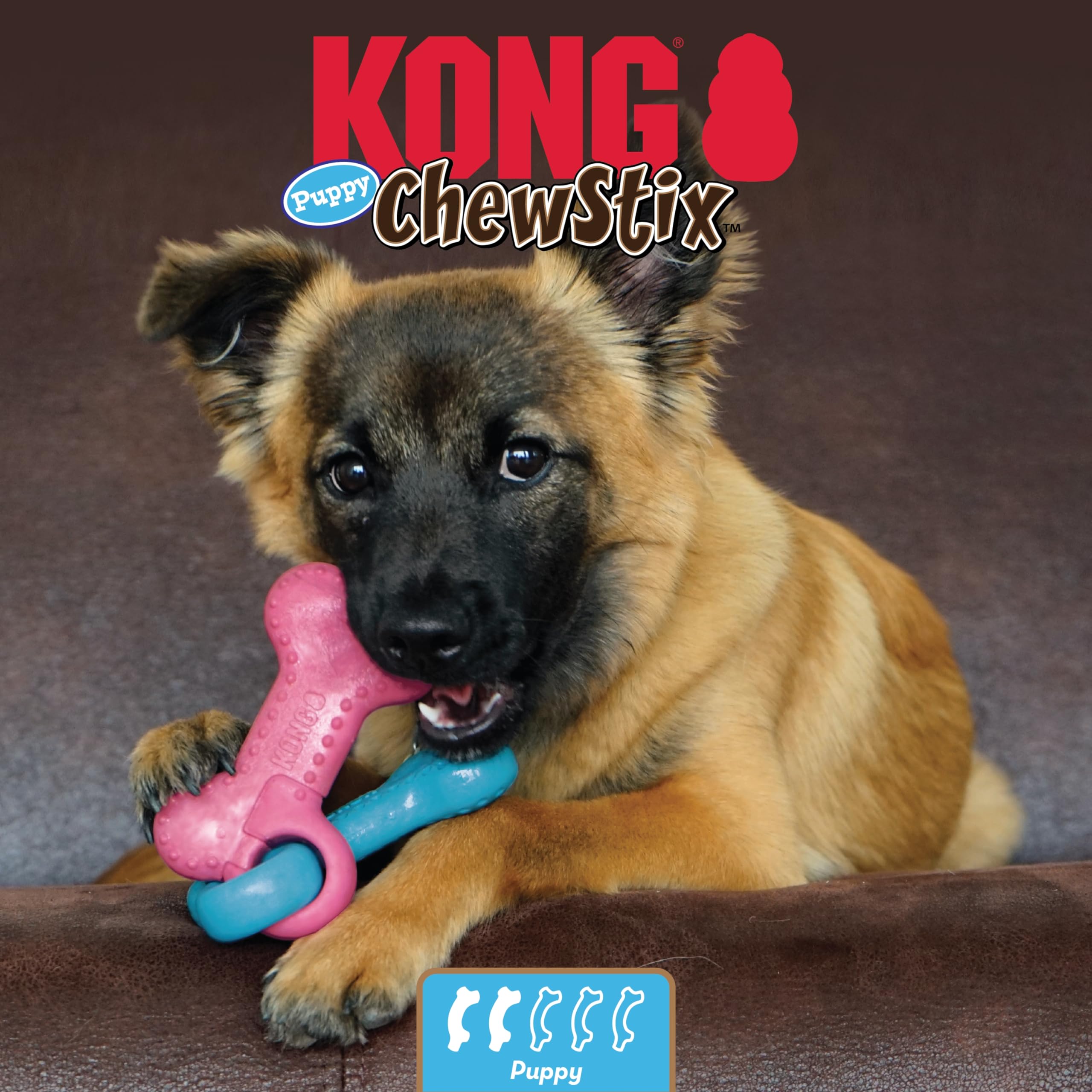 Kong ChewStix Linked Bones Coconut Scented Real Wood Puppy Dog Toy - Medium  