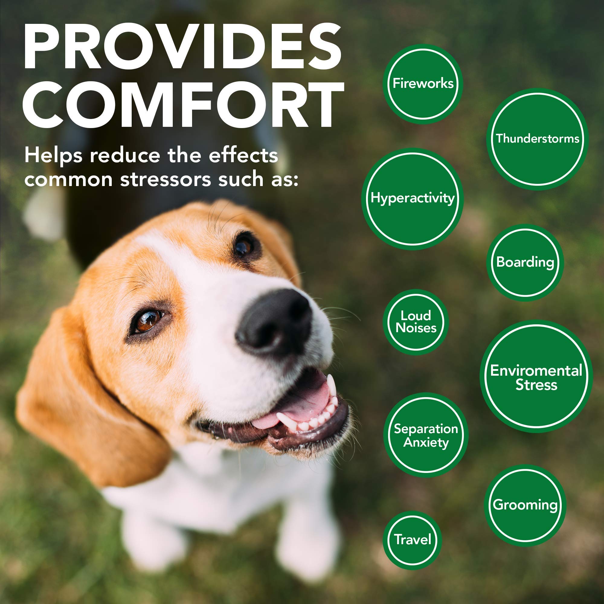 Vet's Best Comfort Calm Soft Chew Dog Supplements - 4.2 Oz - 30 Count  