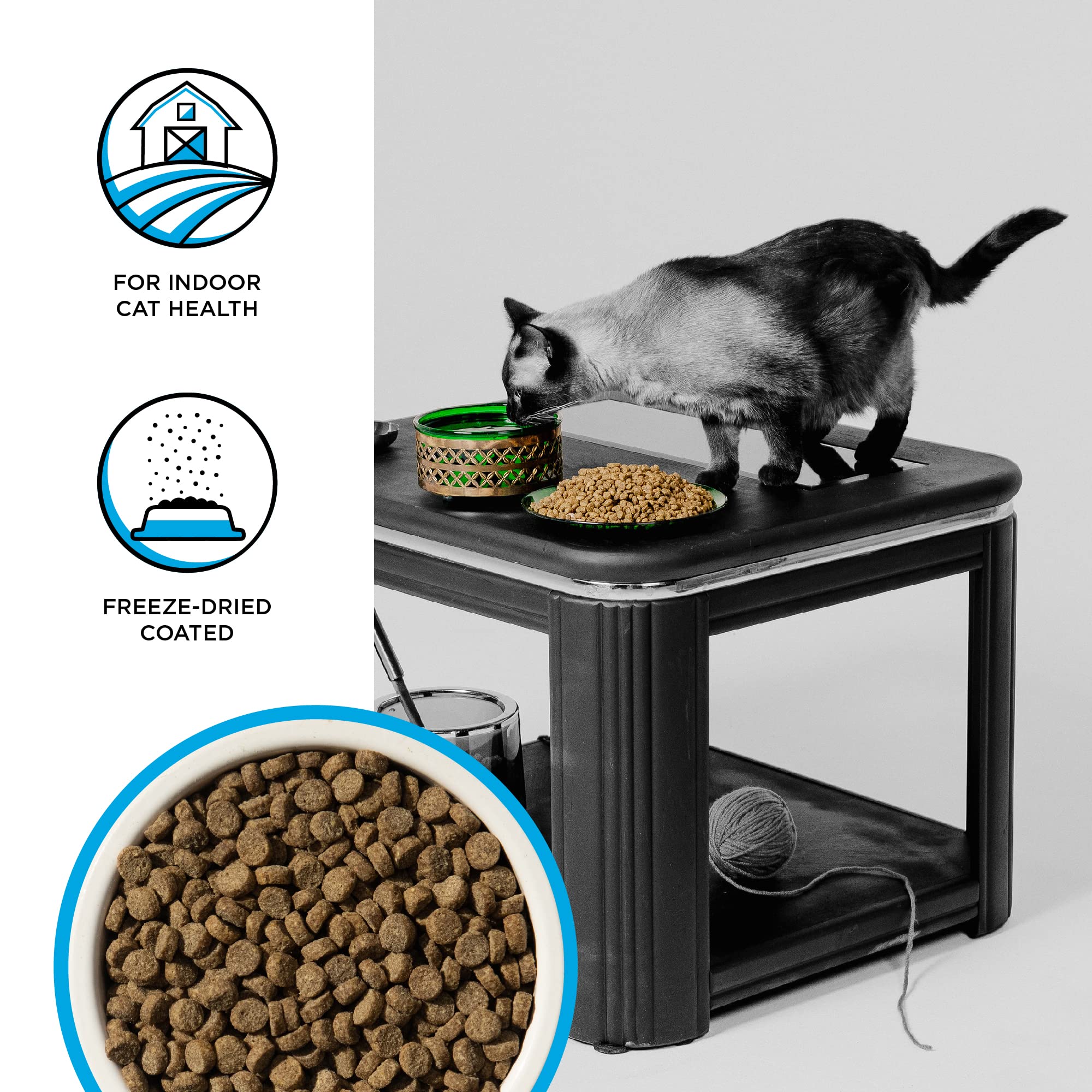 Bixbi Rawbble Salmon Recipe Dry Cat Food - 10 Lbs  