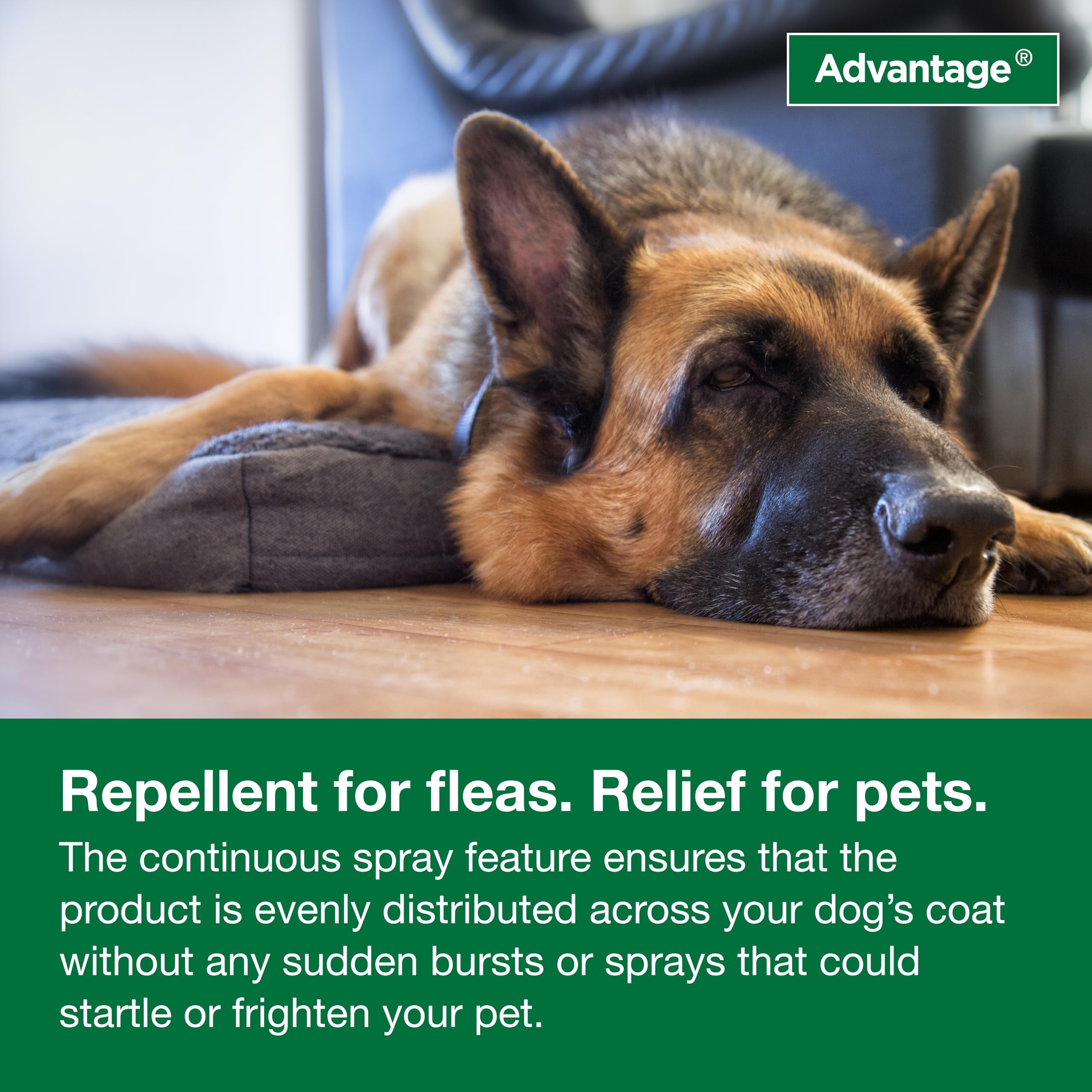 Elanco Advantage Flea and Tick Dog Spray for Adults and Puppies over 6 Months