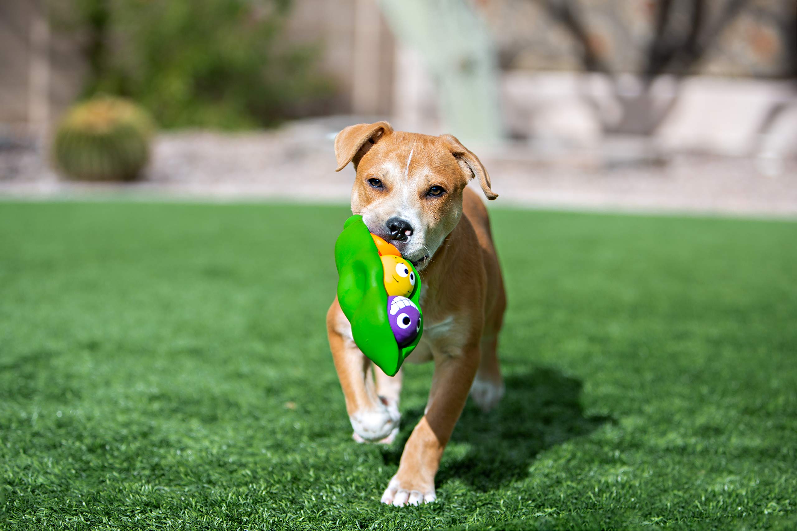 Multipet Three Peas in a Pod Squeaker Balls and Latex Dog Toy - 7.5" Inches  