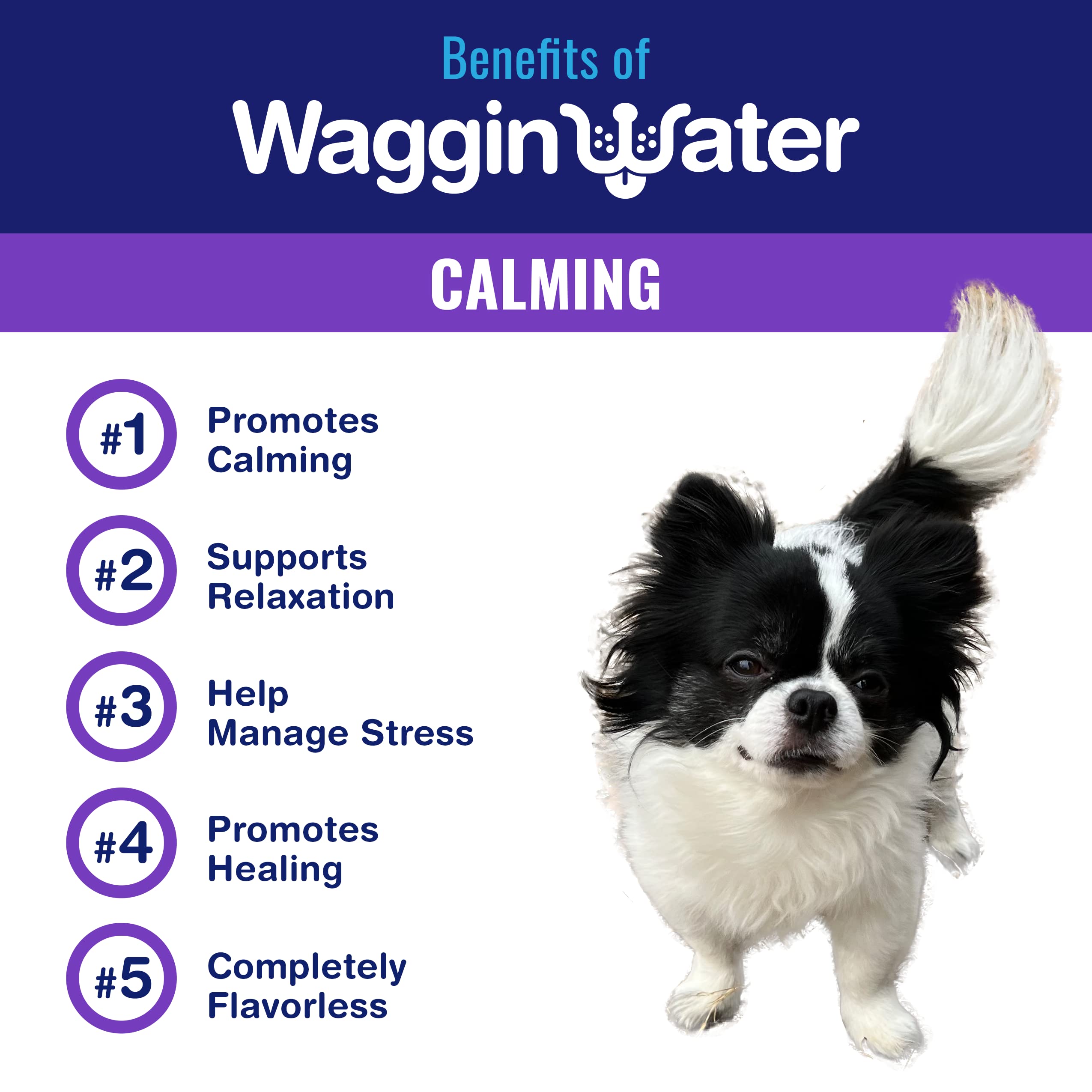 Waggin Water Daily Calming Water Supplement for Dogs with Melatonin and L-Tryptophan - 1 Ltr - Case of 12  