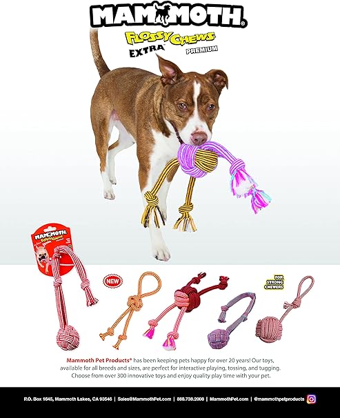 Mammoth Pet Products Monkey Fist Ball with Handle Extra Fresh Dental Floss Mint Scent Dog Toy - Large - 5 Inch