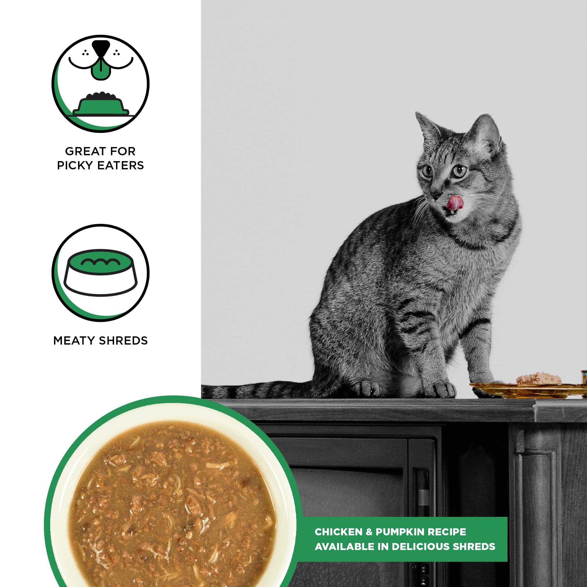 Bixbi Rawbble Shredded Chicken and Pumpkin Canned Cat Food - 5 Oz - Case of 24  