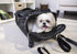 Sherpa Ultimate On Wheels Airline Approved Travel Pet Carrier - Black - Large  