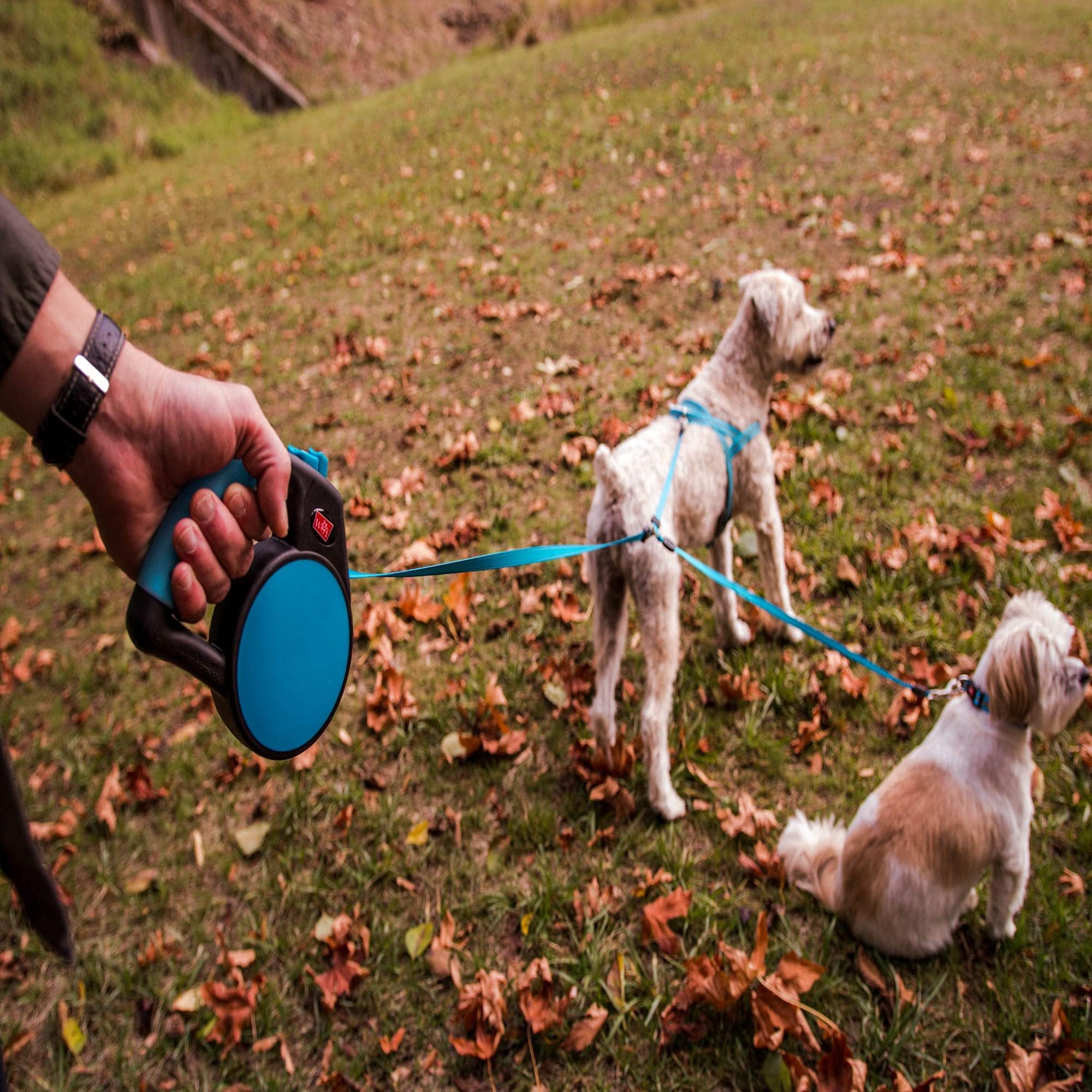 Wigzi Dual-Dog Waking Retractable Easy Lock Gel Handle Auto Untangle Dog Leash with Coupler - Blue - All Sizes - Up to 18 Feet  