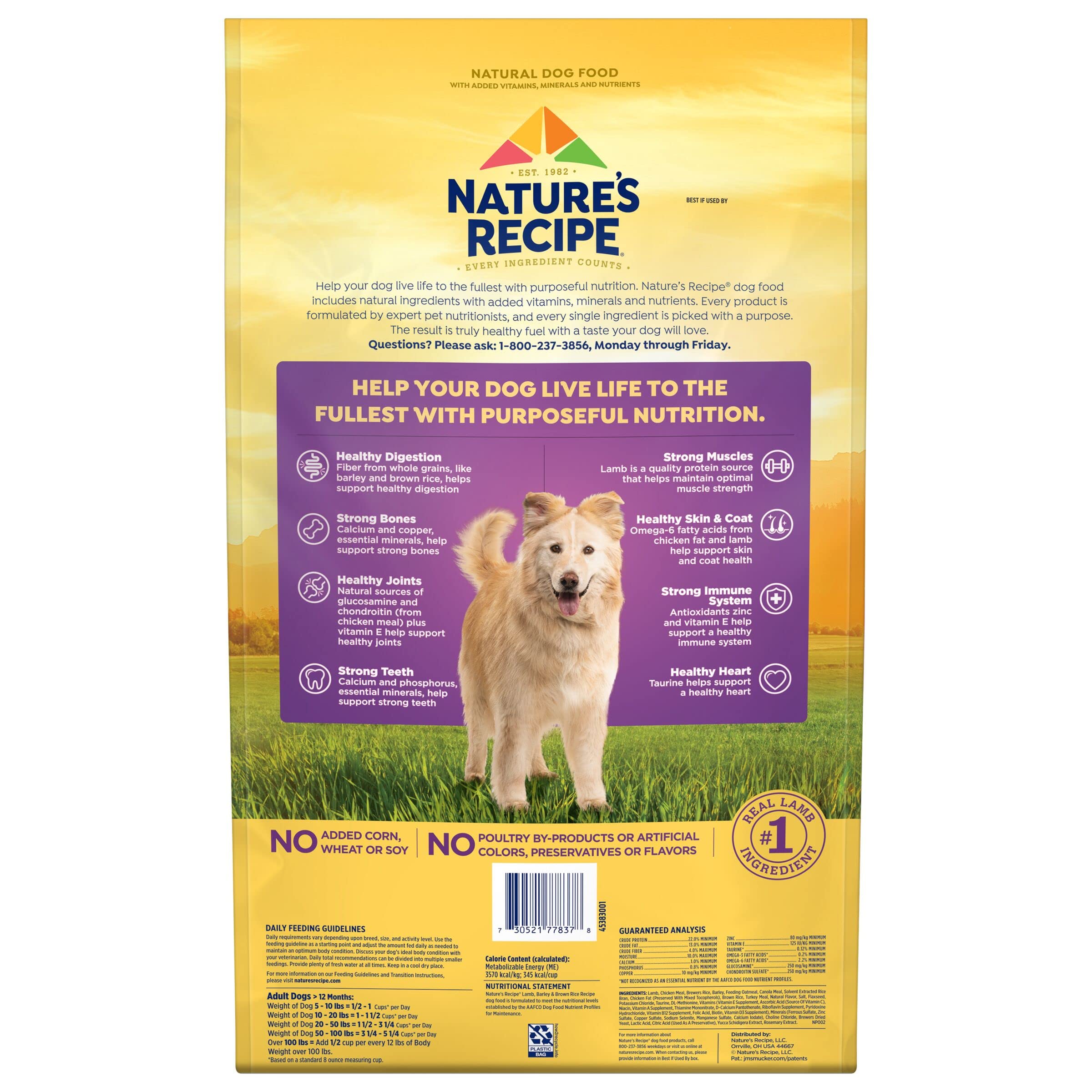 Nature's Recipe Original Chicken and Rice Dry Dog Food - 24 Lbs  