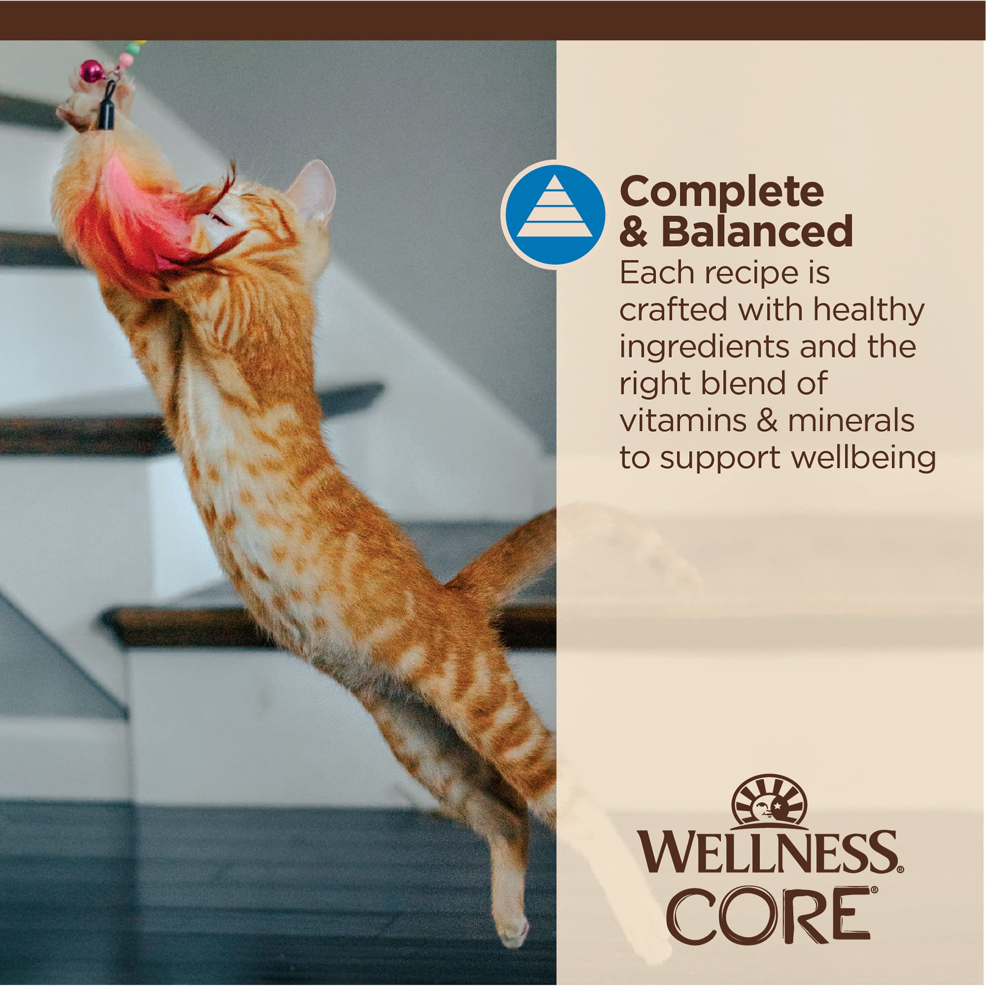 Wellness Core Tiny Tasters Grain-Free Flaked Tuna and Shrimp in Broth Wet Cat Food Pouch - 1.75 Oz - Case of 12  