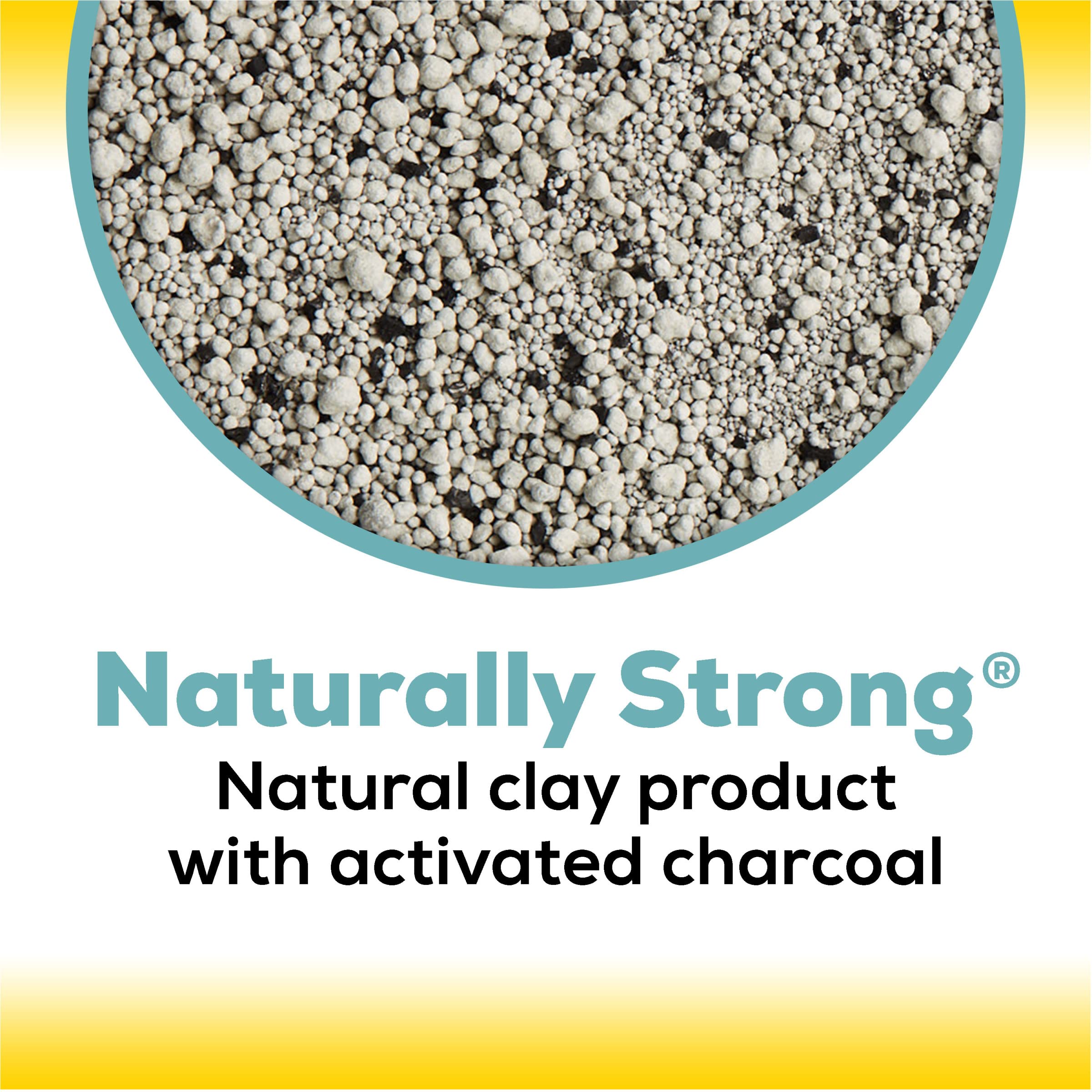 Purina Tidy Cats Naturally Strong All-Natural Scooping Unscented with Odor Absorbing Charcoal Clay Multi-Cat Litter - 35 Lbs  