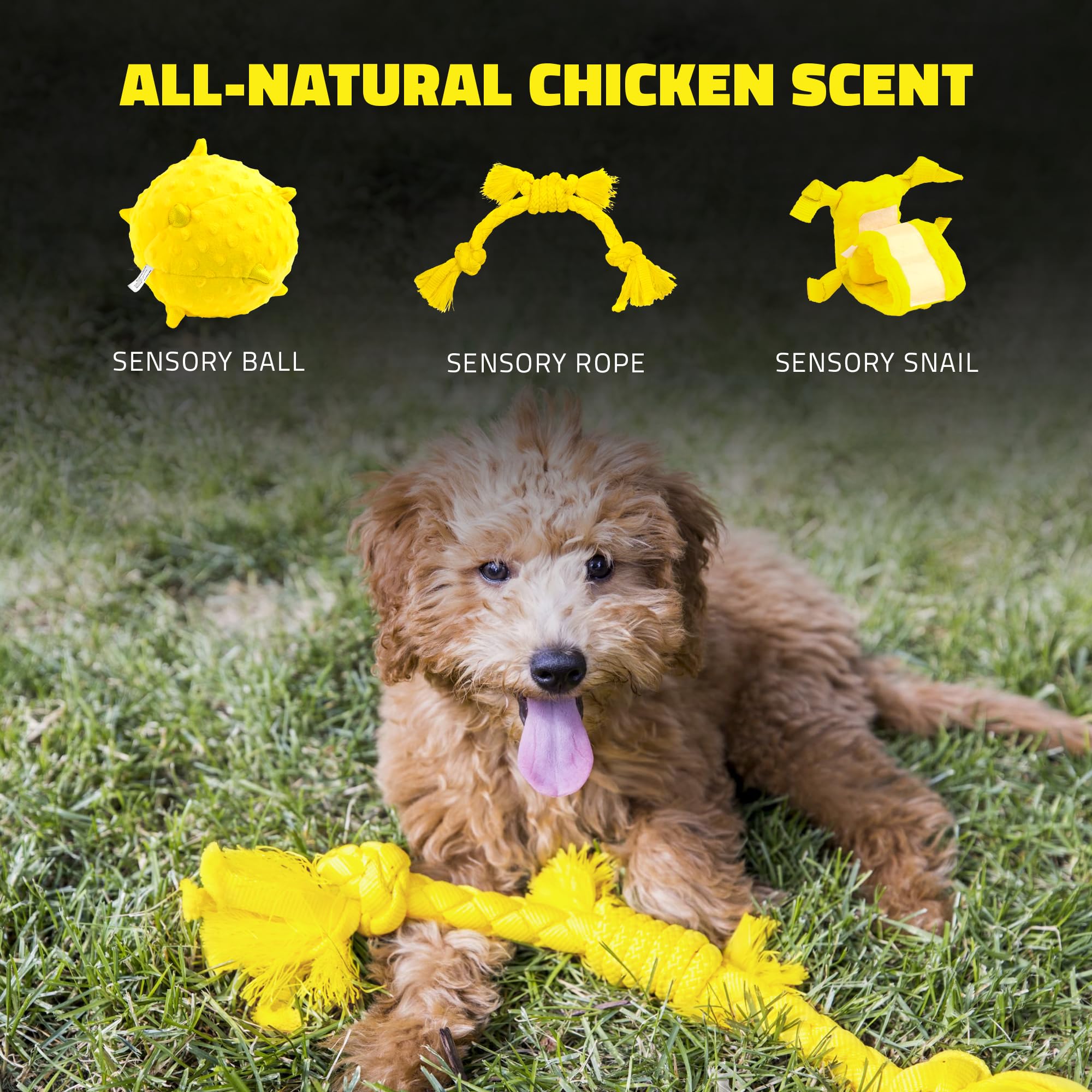 Playology Chicken Scented Sensory Rope Puppy Dog Toy with Encapsiscent Technology - Small  