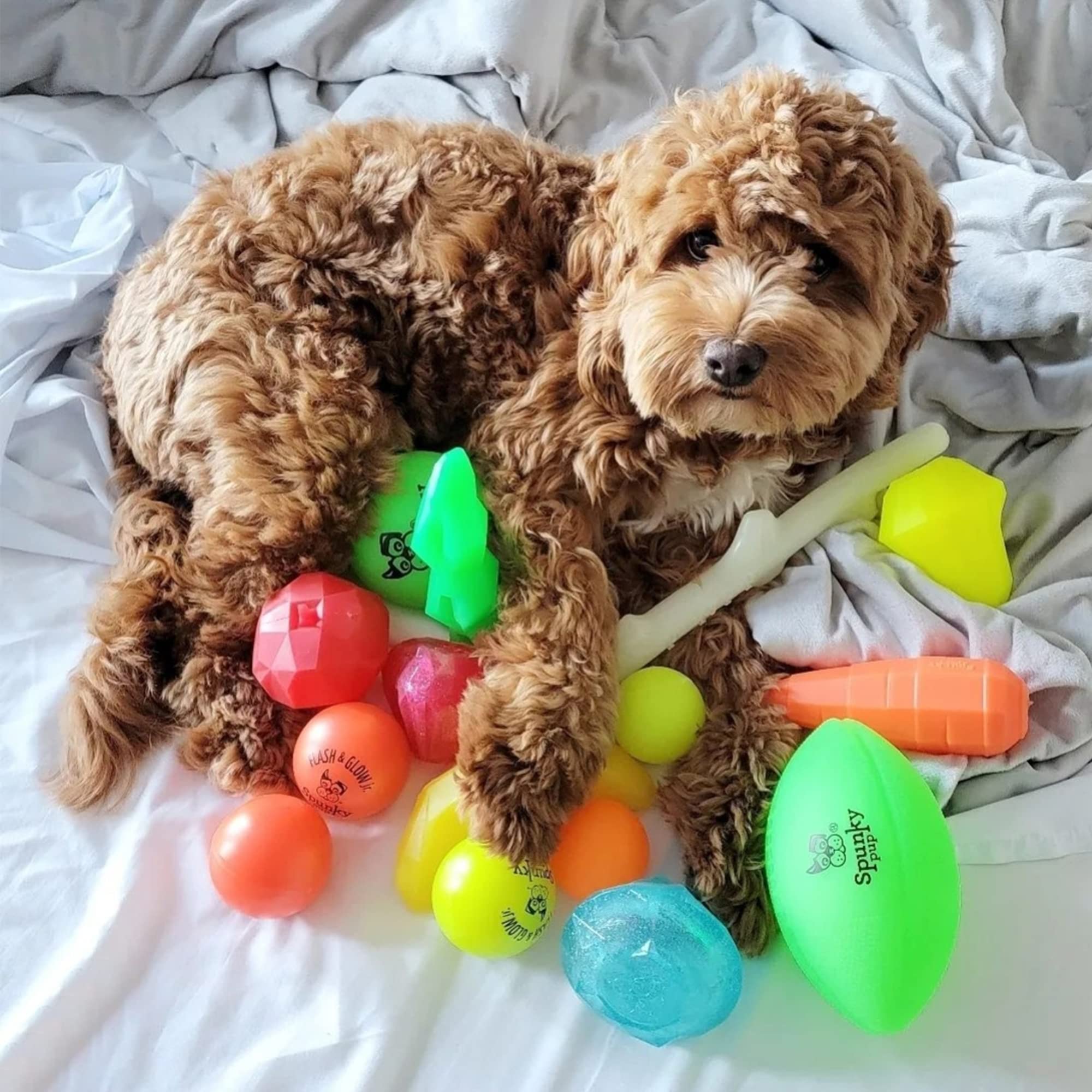 Spunky Pup Squeak and Glow in The Dark Football Float and Fetch Dog Toy  