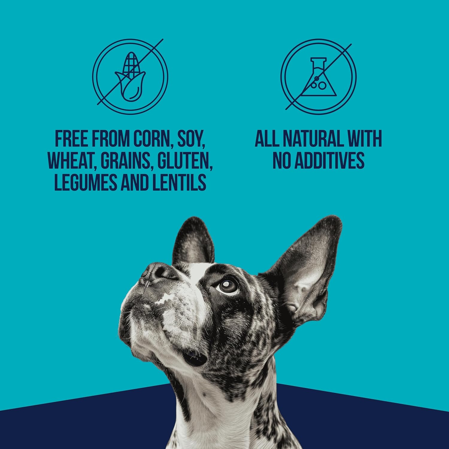 Stewart Single Ingredient High-Protein Chicken Breast Freeze-Dried Dog Treats or Food Topper - 2.75 Oz