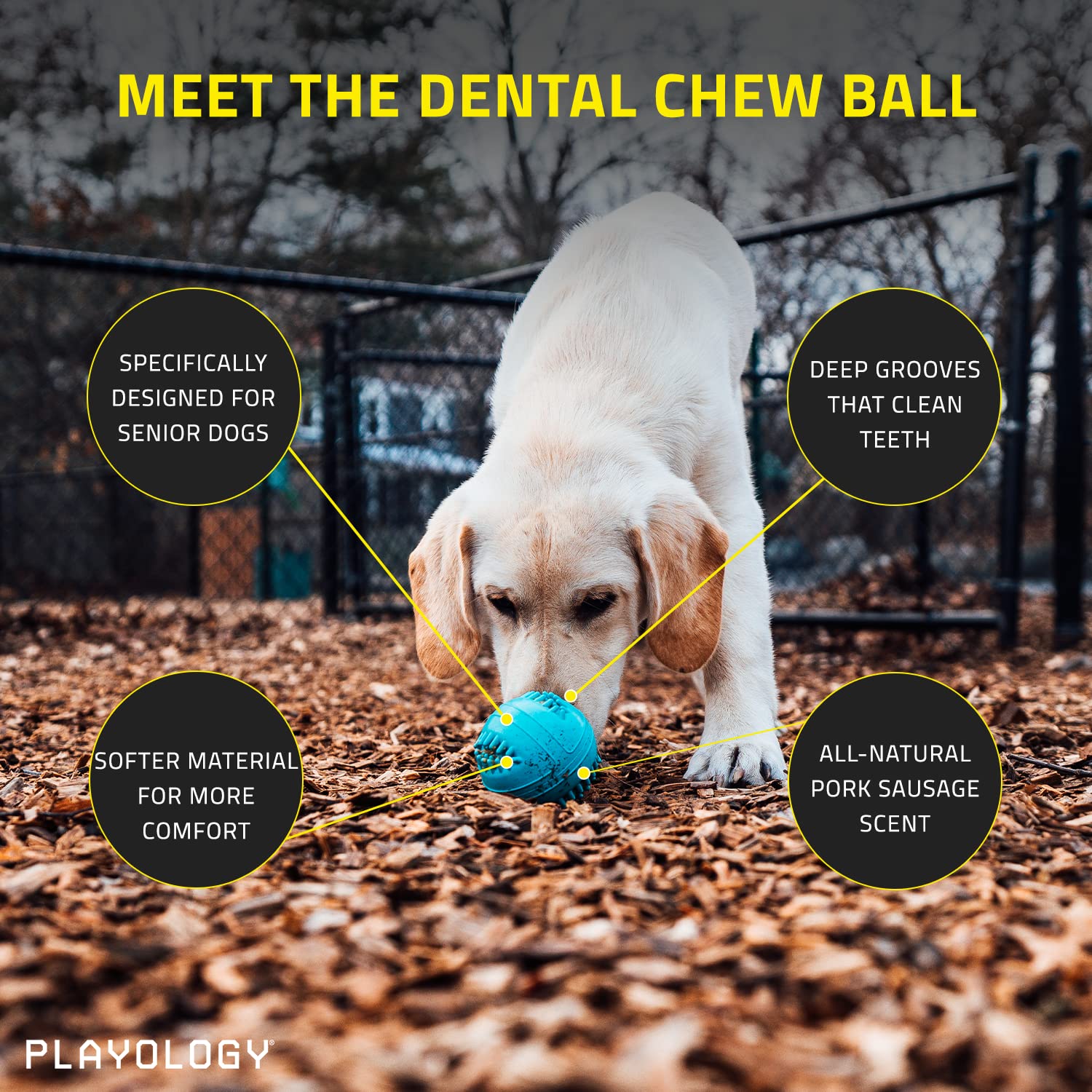 Playology Peanut Butter Scented Dental Chew Ball Rubber Dog Toy with Encapsiscent Technology - Medium  