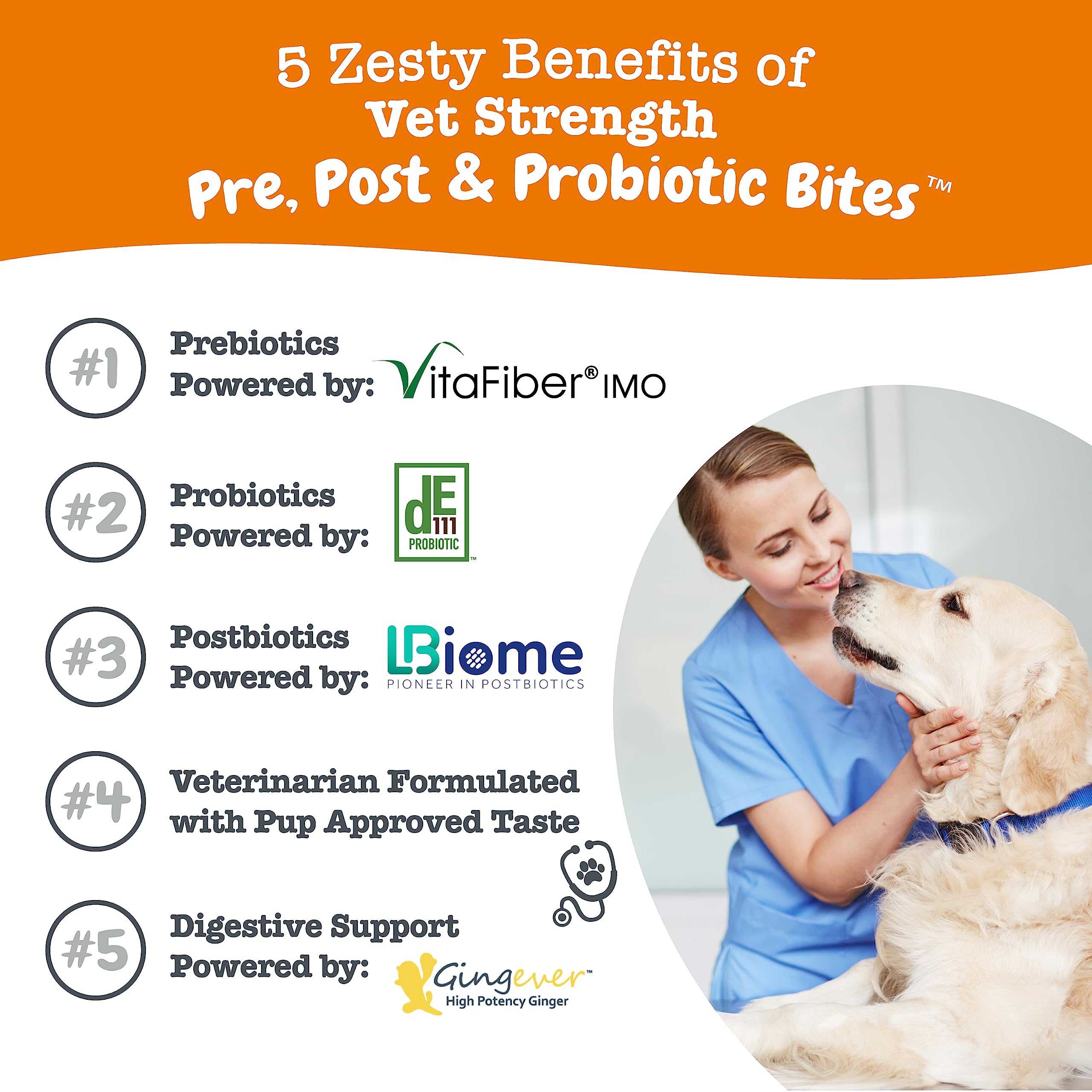 Zesty Paws Vet-Strength Pre-Post and Probiotic Bites Gut Health Support Chicken Flavor Soft Chew Dog Supplements - 90 Count  