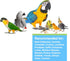 Hagen Hari Prime Vitamin Mineral and Amino Acids Powder Seed Eating Bird Supplements - .71 Lbs