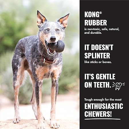 Kong Extreme Goodie Bone Treat-Holding Durable Power-Power Fetch Rubber Dog Toy - Black - Extra Large 