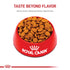 Royal Canin Digestive Care Formula Medium-Breed Dry Dog Food - 17 Lbs  