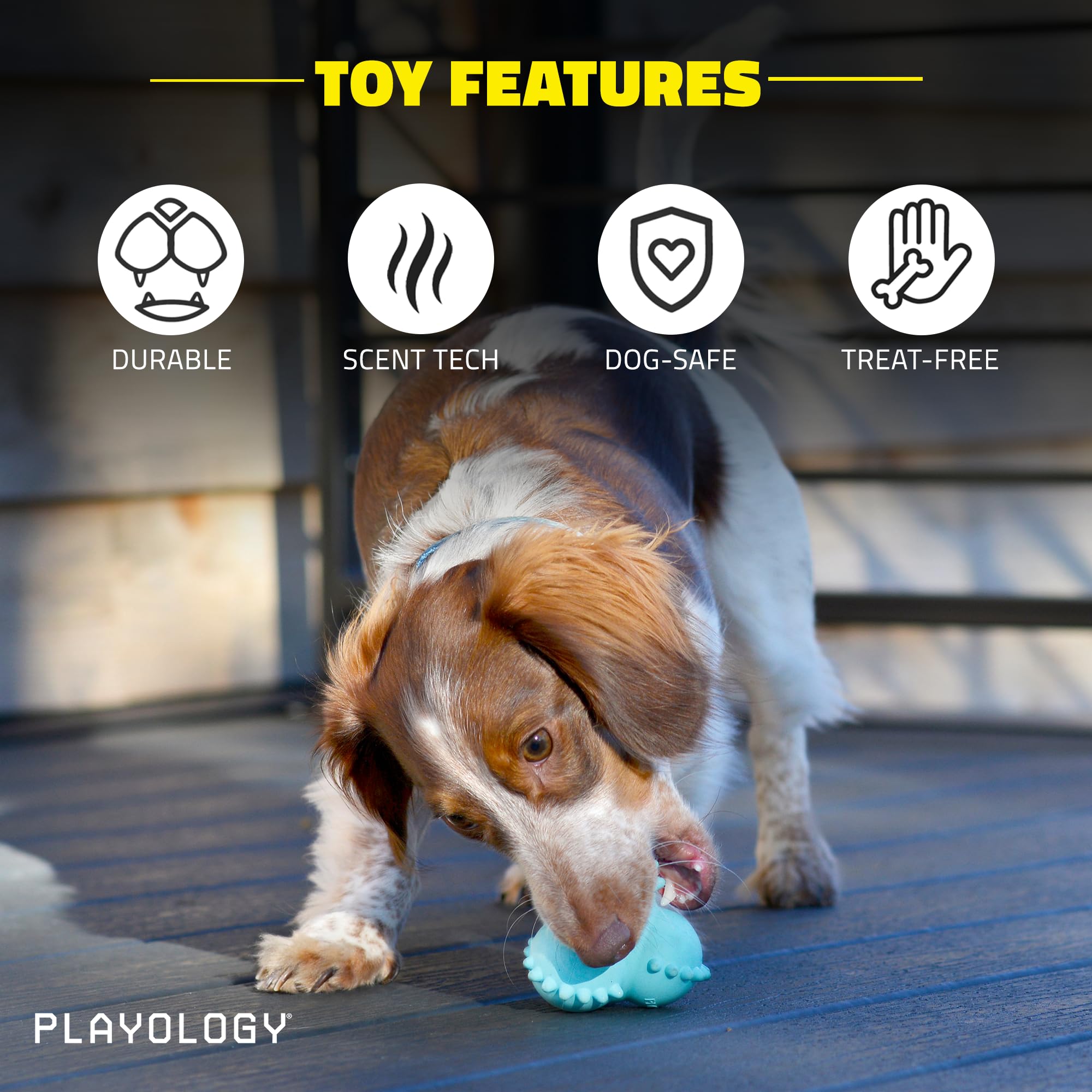 Playology Peanut Butter Scented Teething Bounce Ball Rubber Puppy Dog Toy with Encapsiscent Tech - Large  