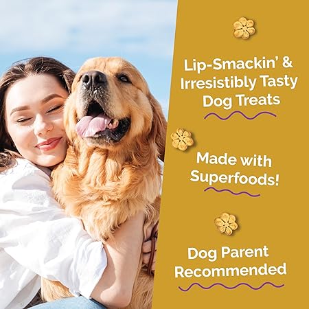 Fruitables Baked Chicken Cranberry and Pumpkin Soft and Chewy Dog Treats - 12 Oz