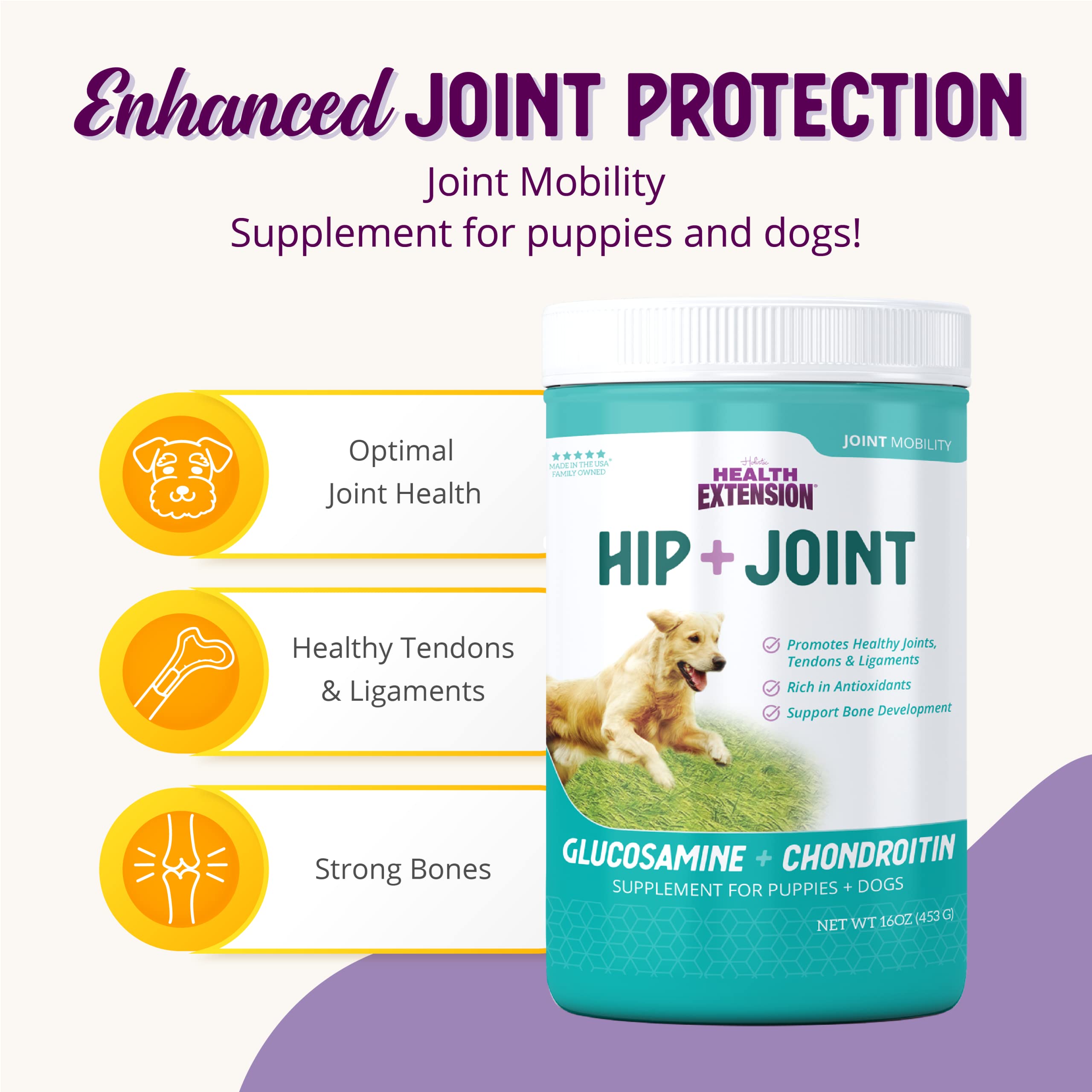 Health Extension Hip and Joint Mobility Support Glucosomine Powder Dog Supplement - 1 Lb  